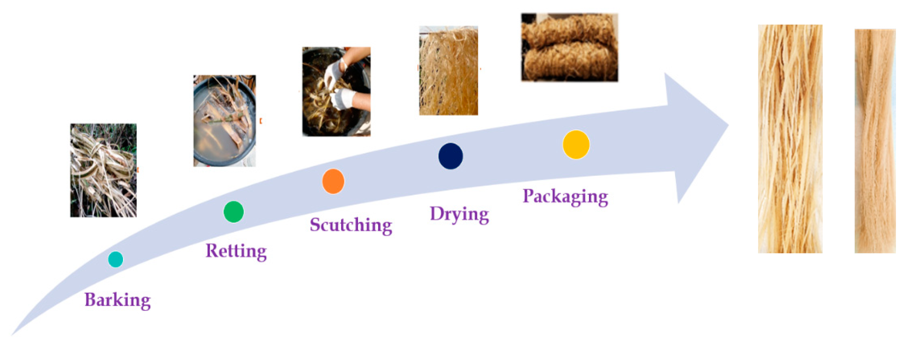 Fibers 10 00006 g001