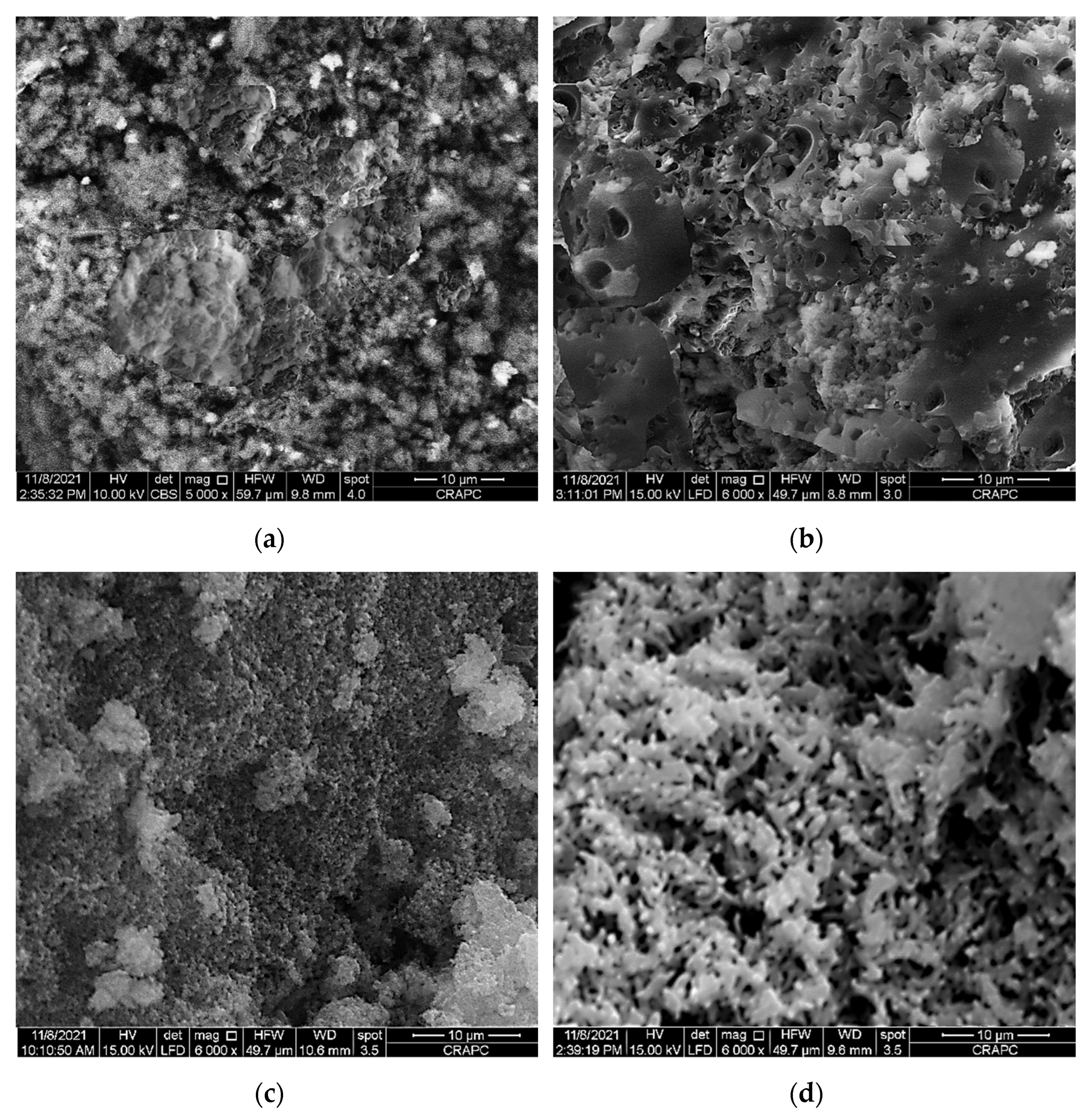 Fibers 10 00007 g004