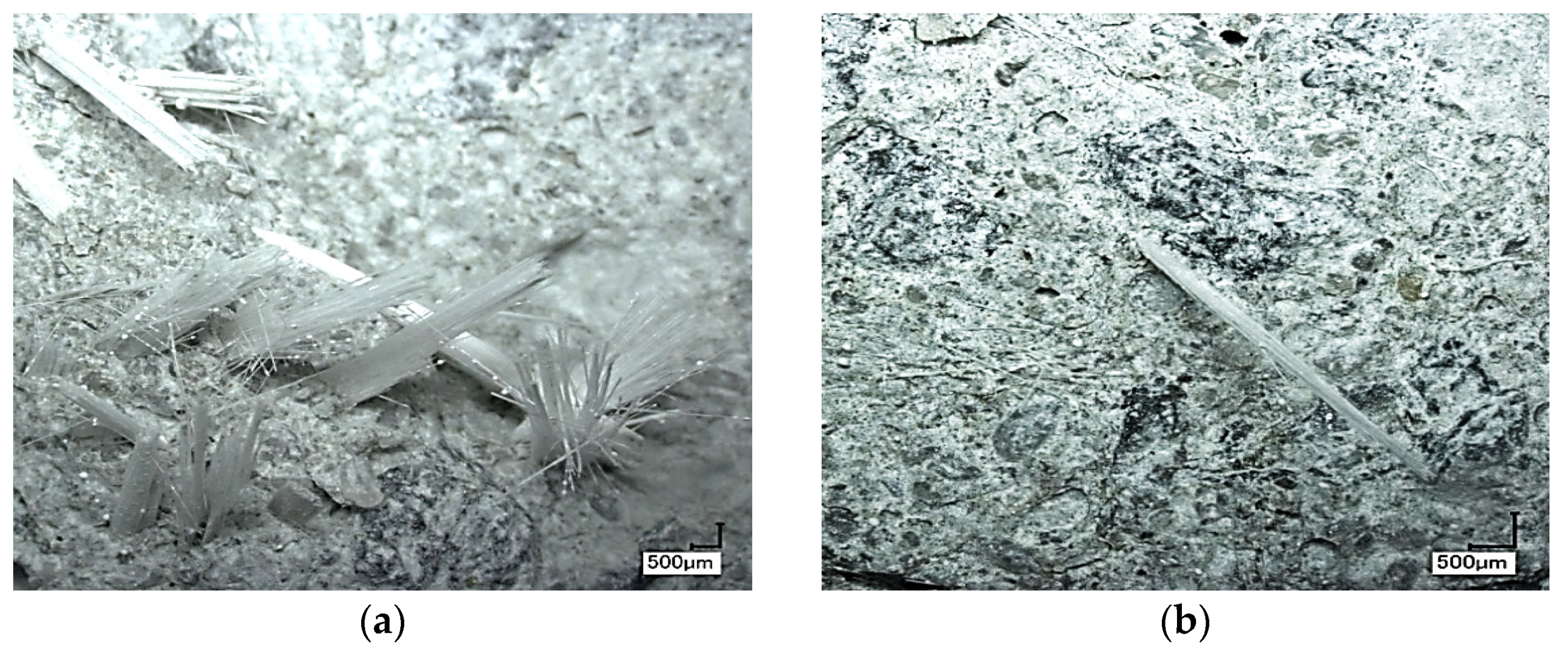 Fibers 10 00011 g005 Fibers 10 00011 g005