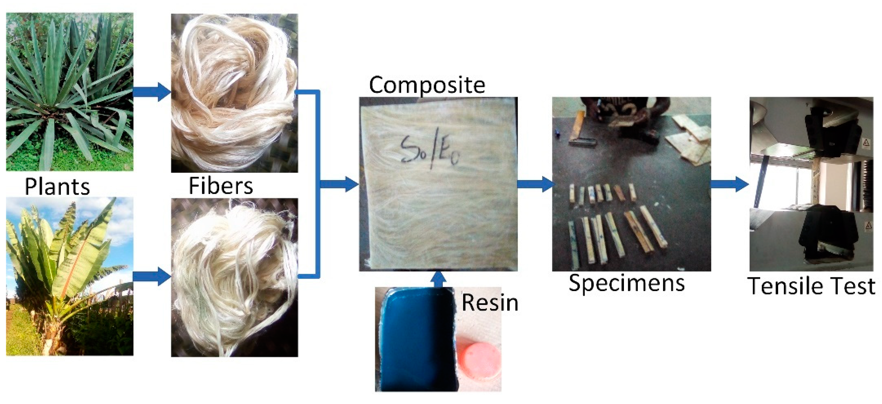 Fibers 10 00014 g001