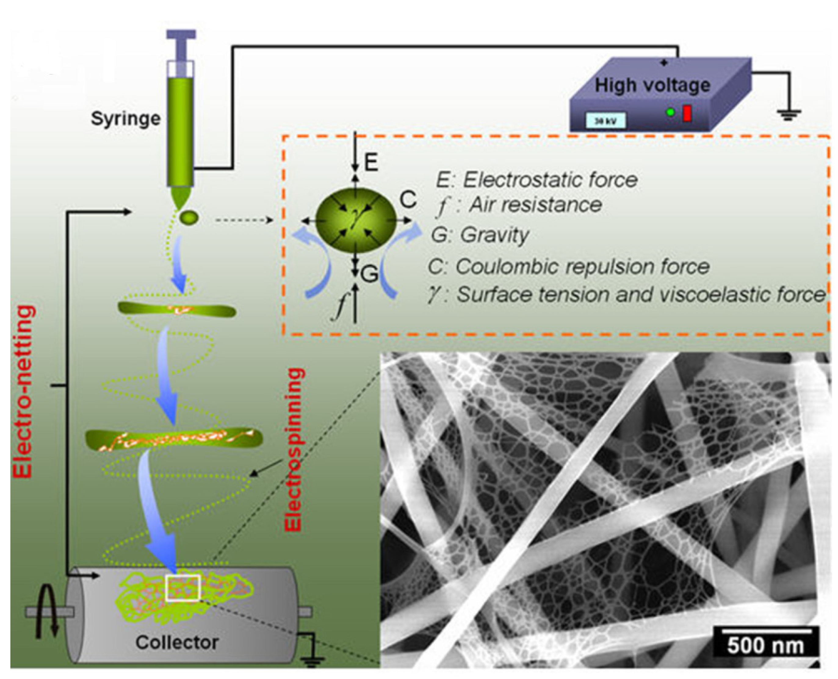 Fibers 10 00015 g012