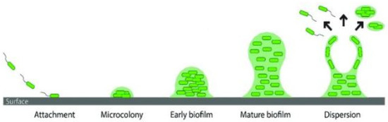 Fibers 10 00015 g013