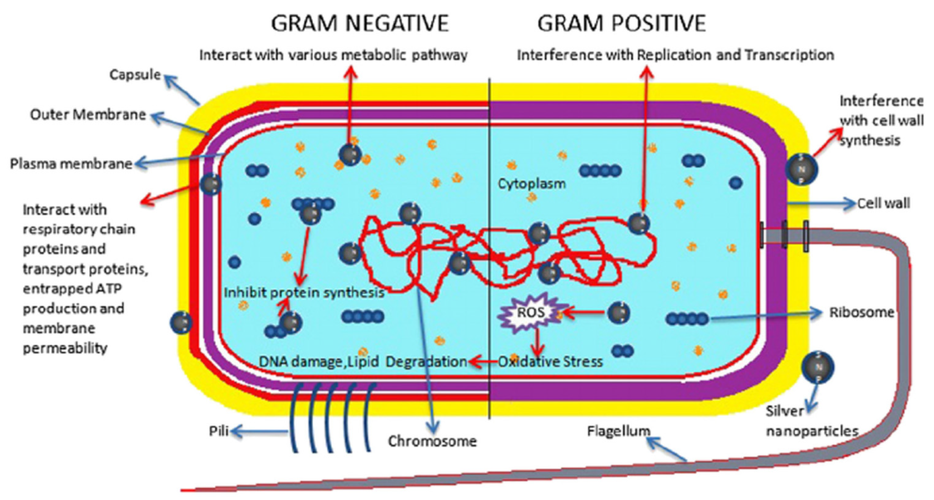 Fibers 10 00015 g014
