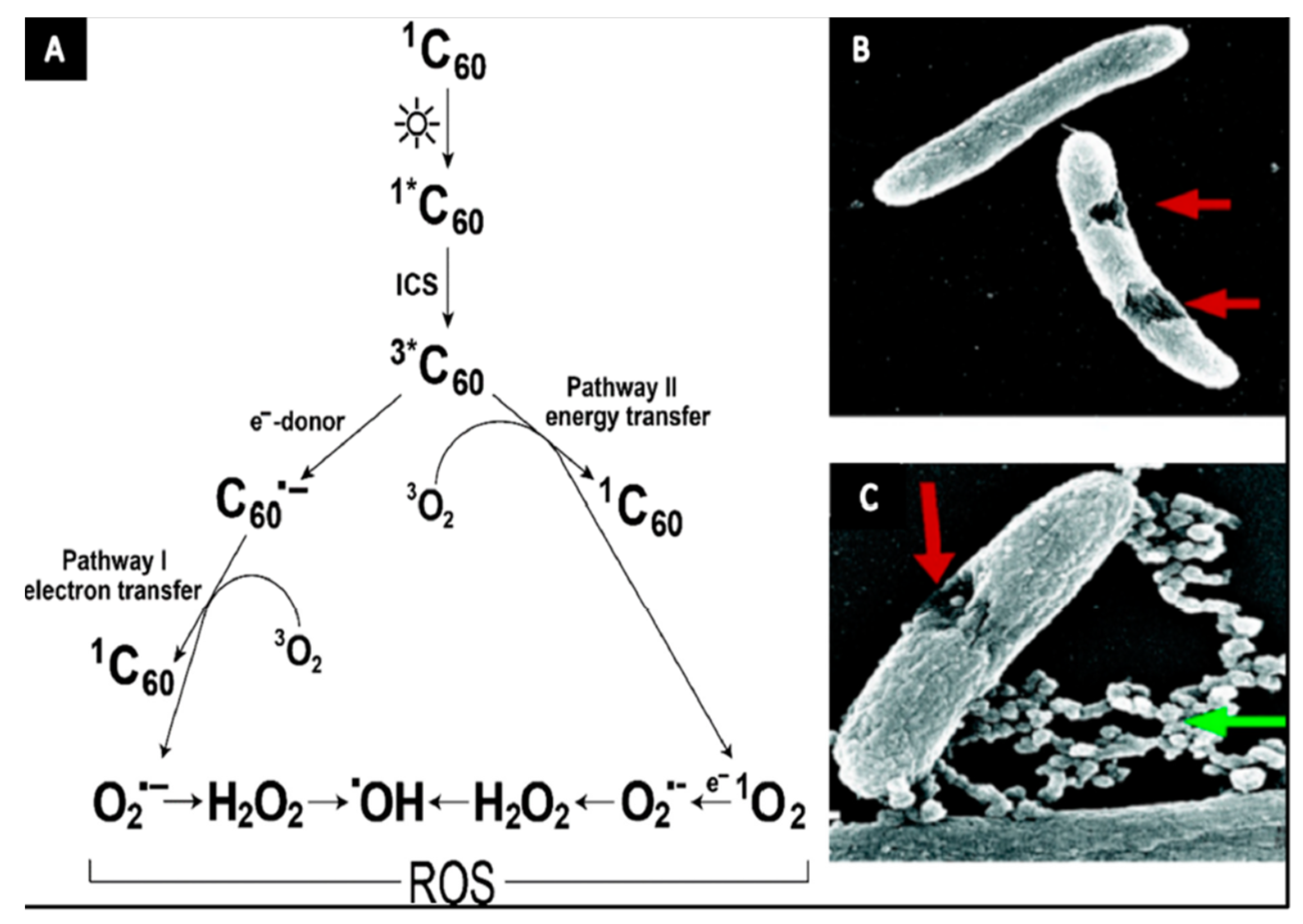 Fibers 10 00015 g015
