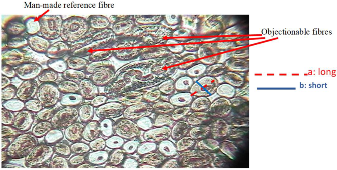 Fibers 10 00018 g001