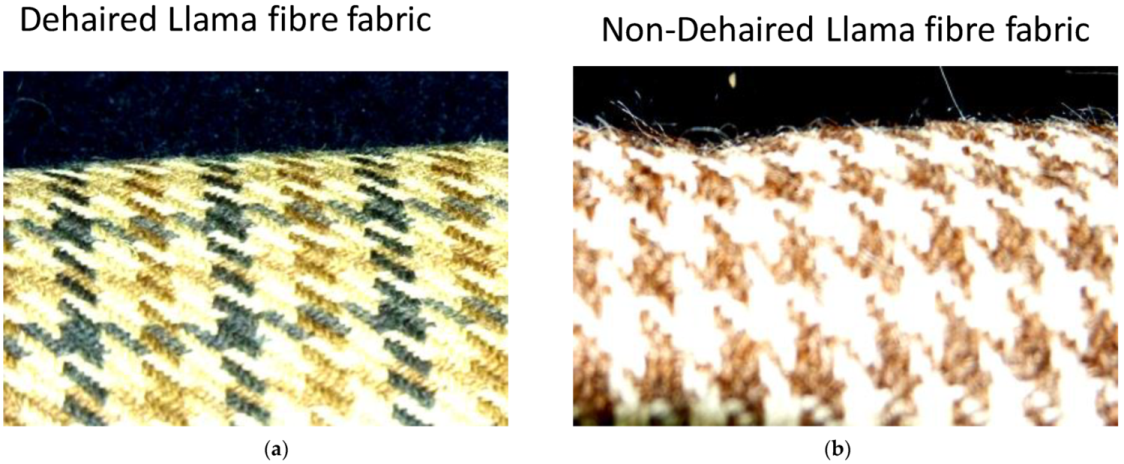 Fibers 10 00018 g004