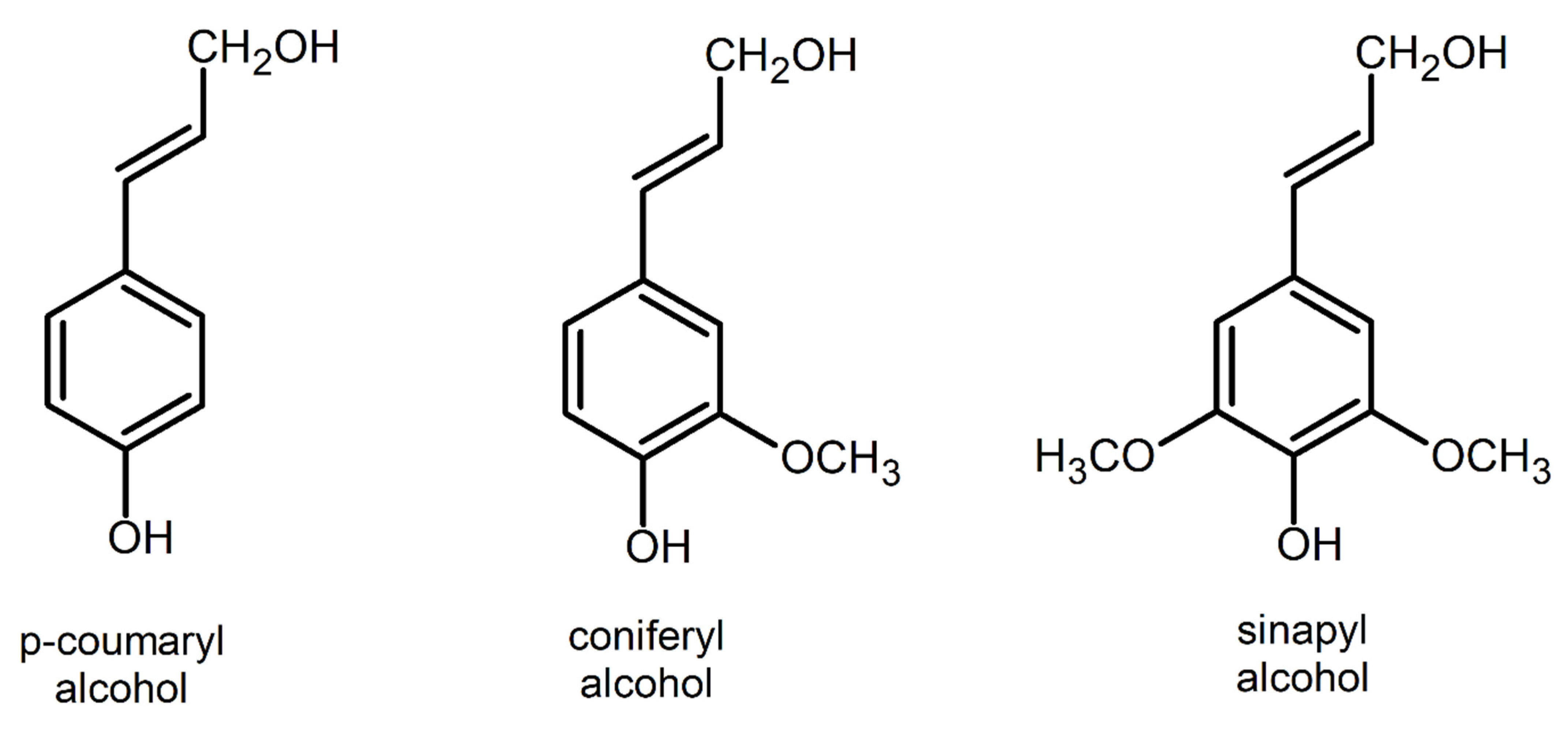 Fibers 10 00020 g001