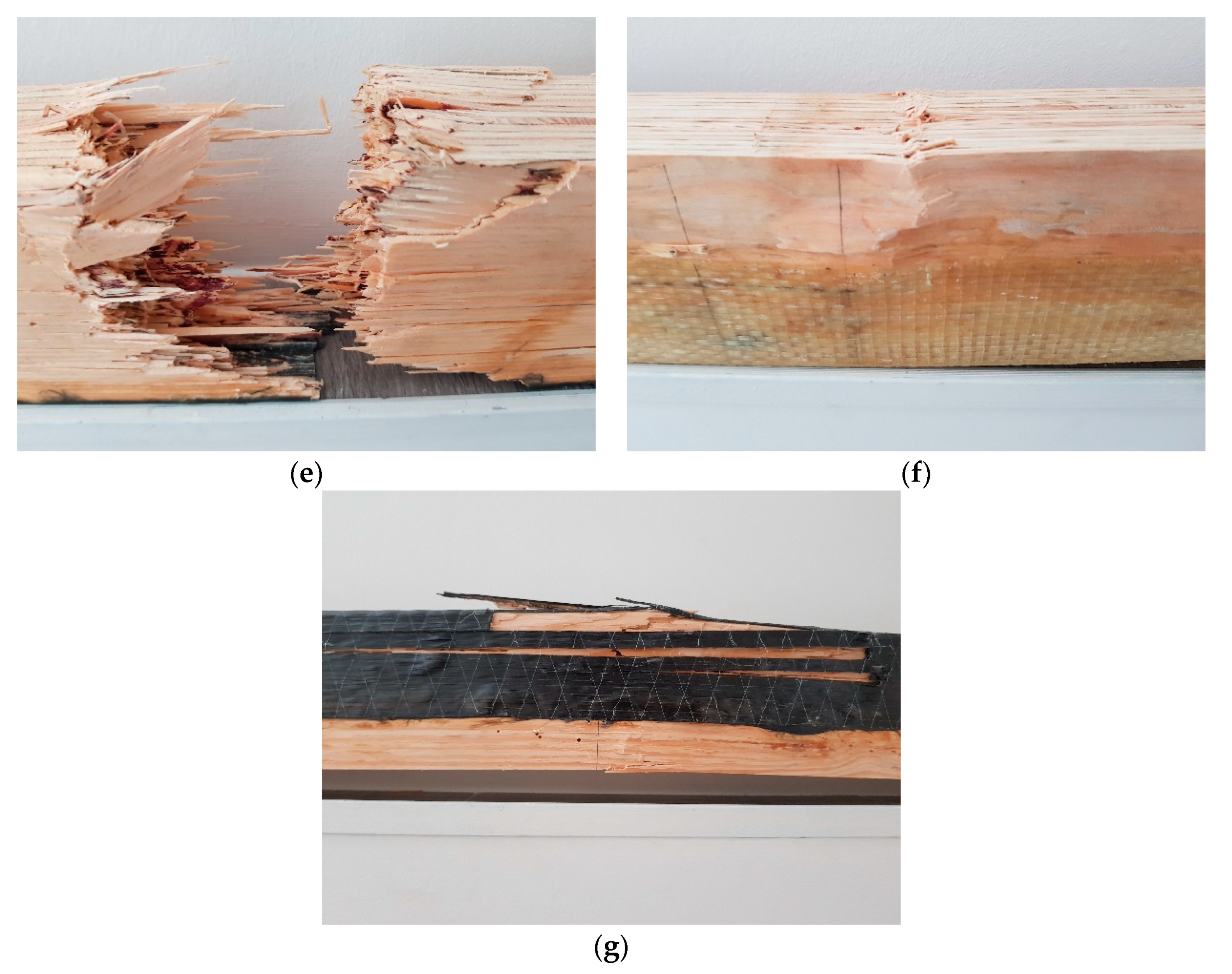 Fibers 10 00021 g009b