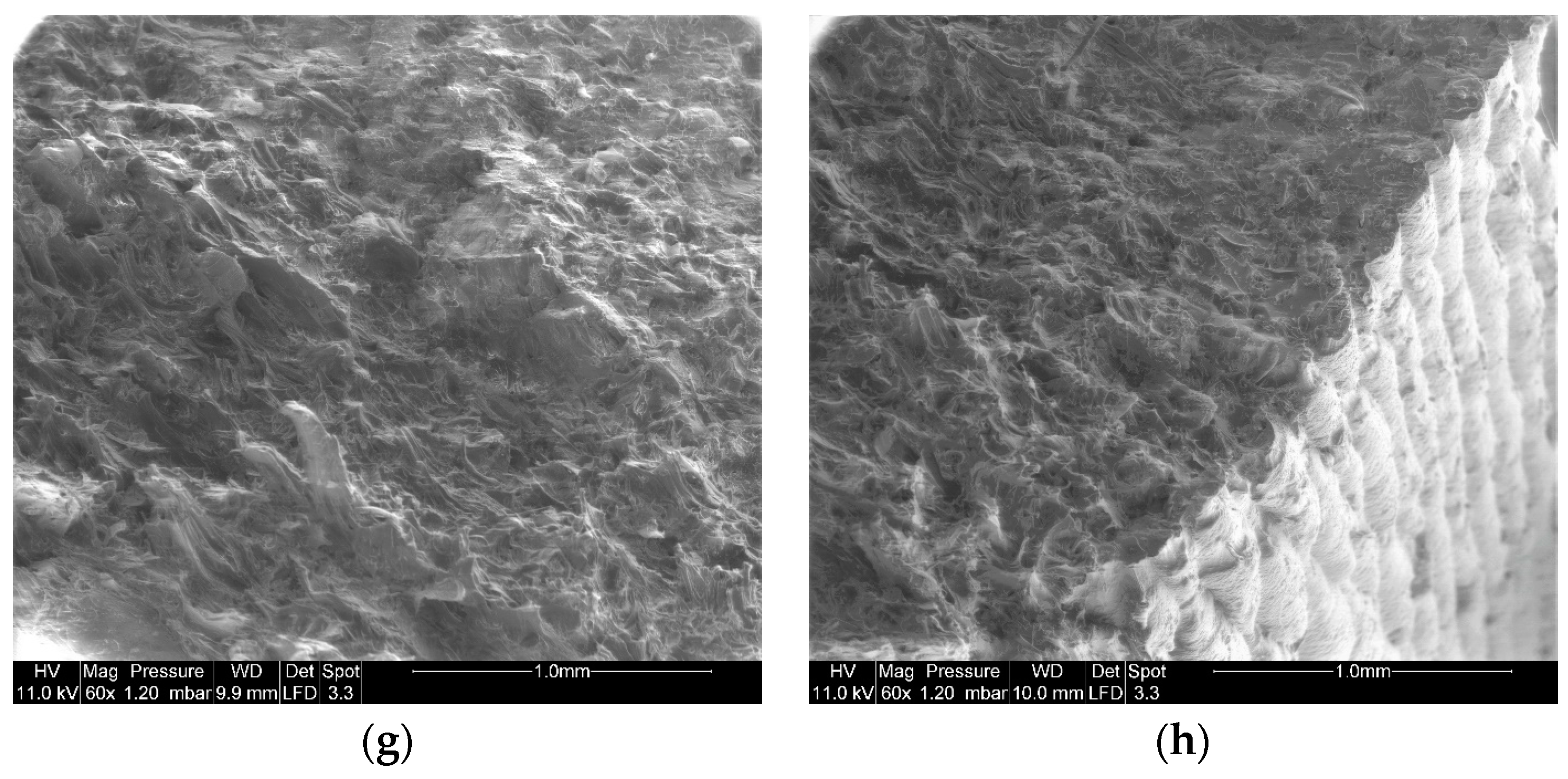 Fibers 10 00024 g010b