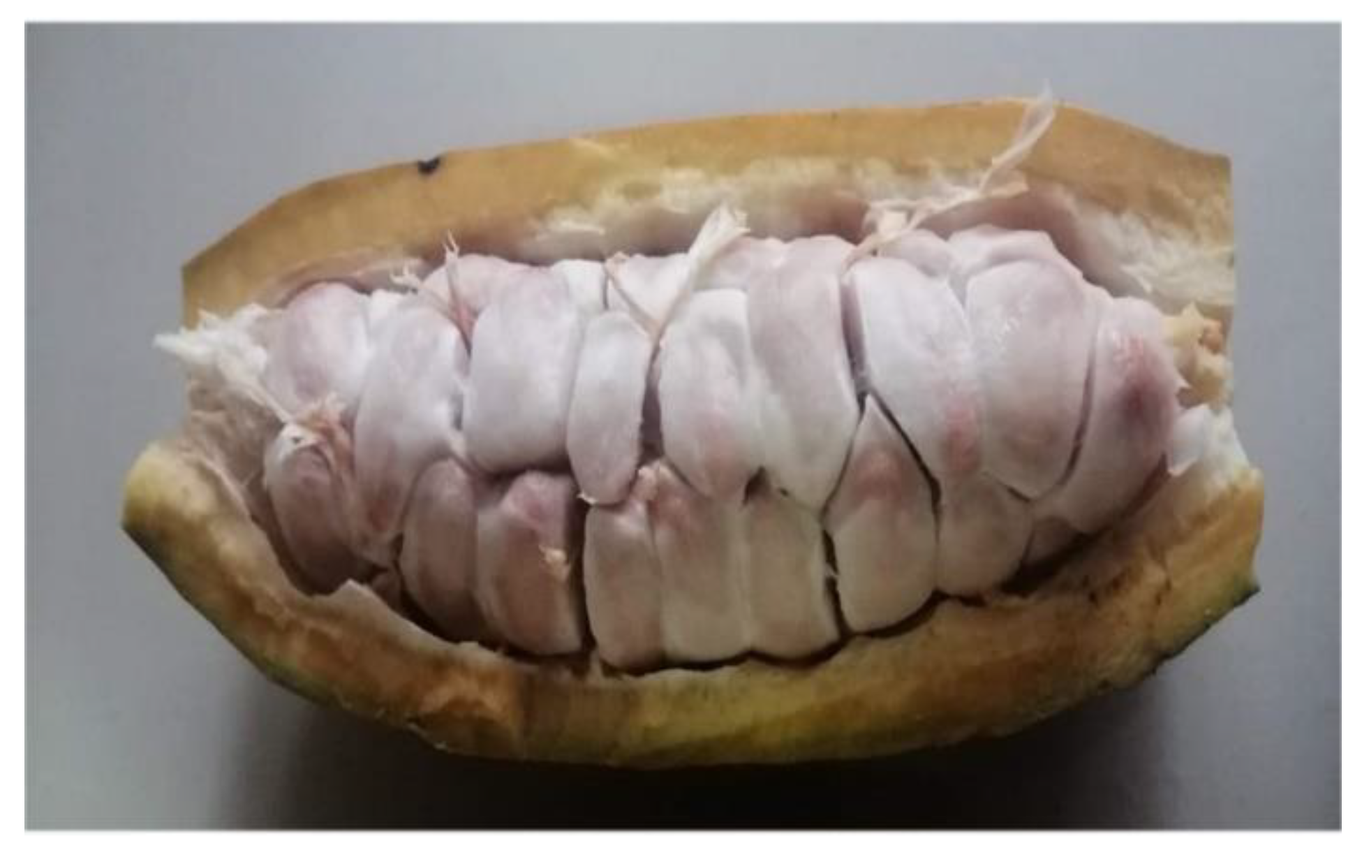 Fibers 10 00025 g002