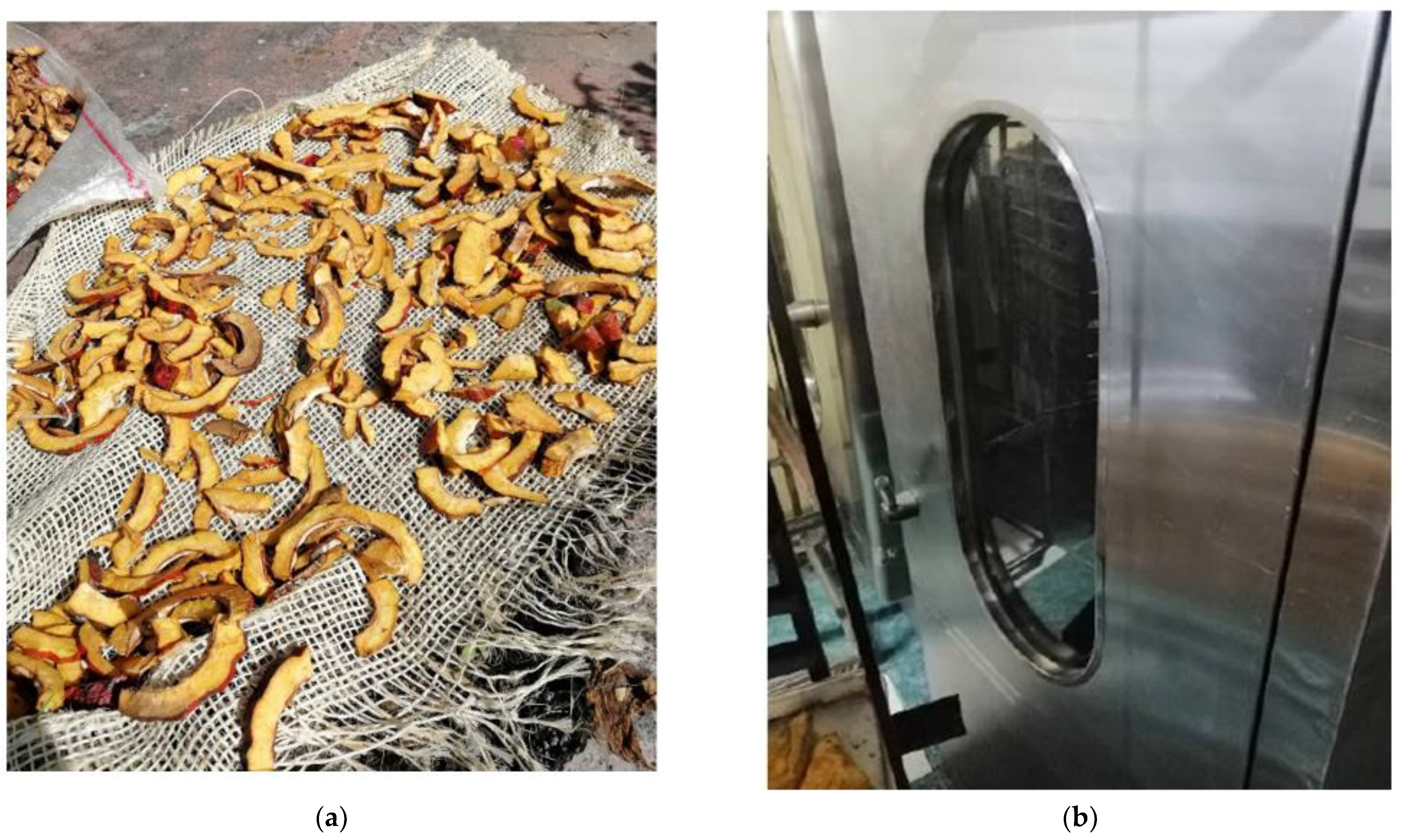 Fibers 10 00025 g003