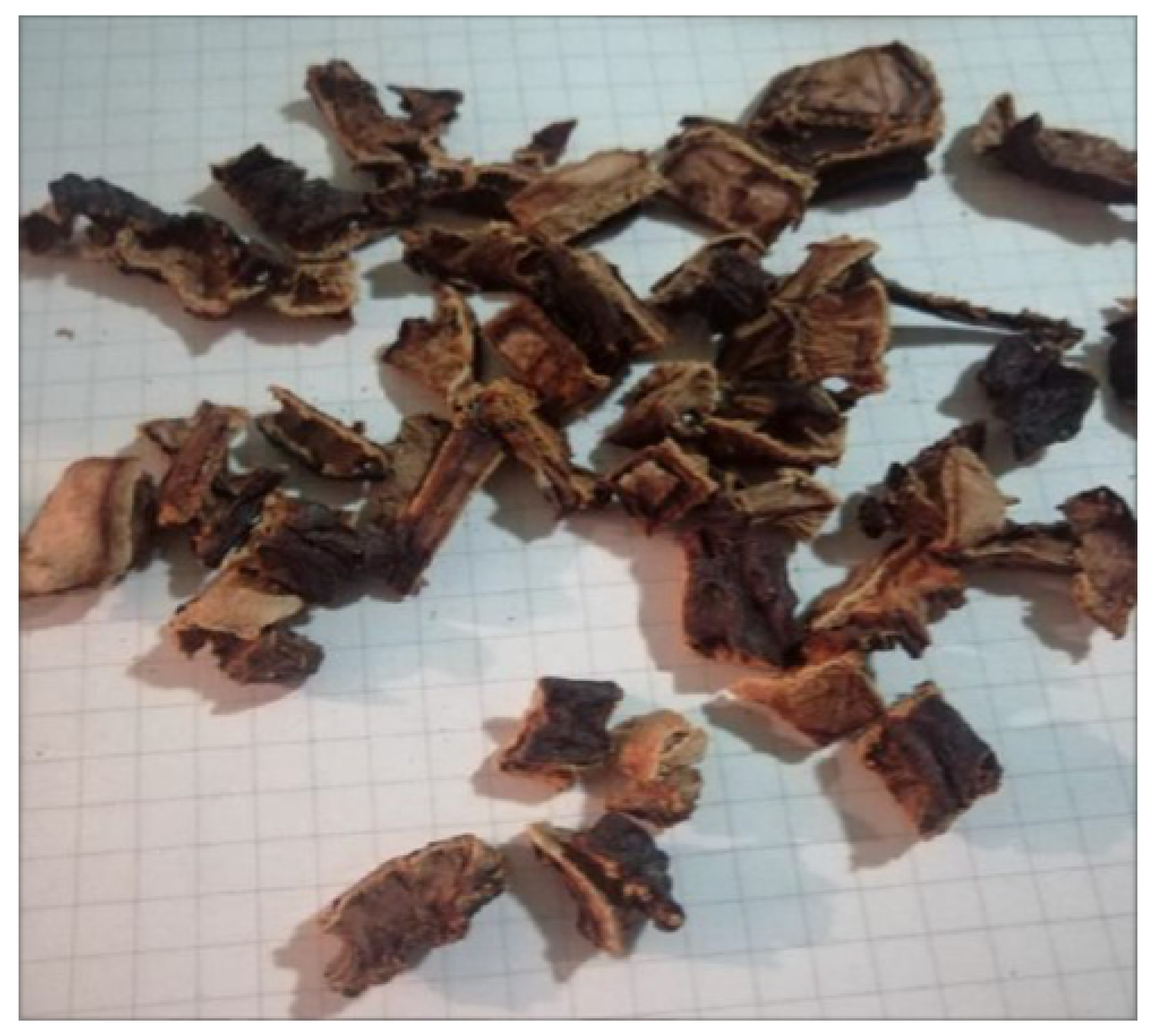 Fibers 10 00025 g004