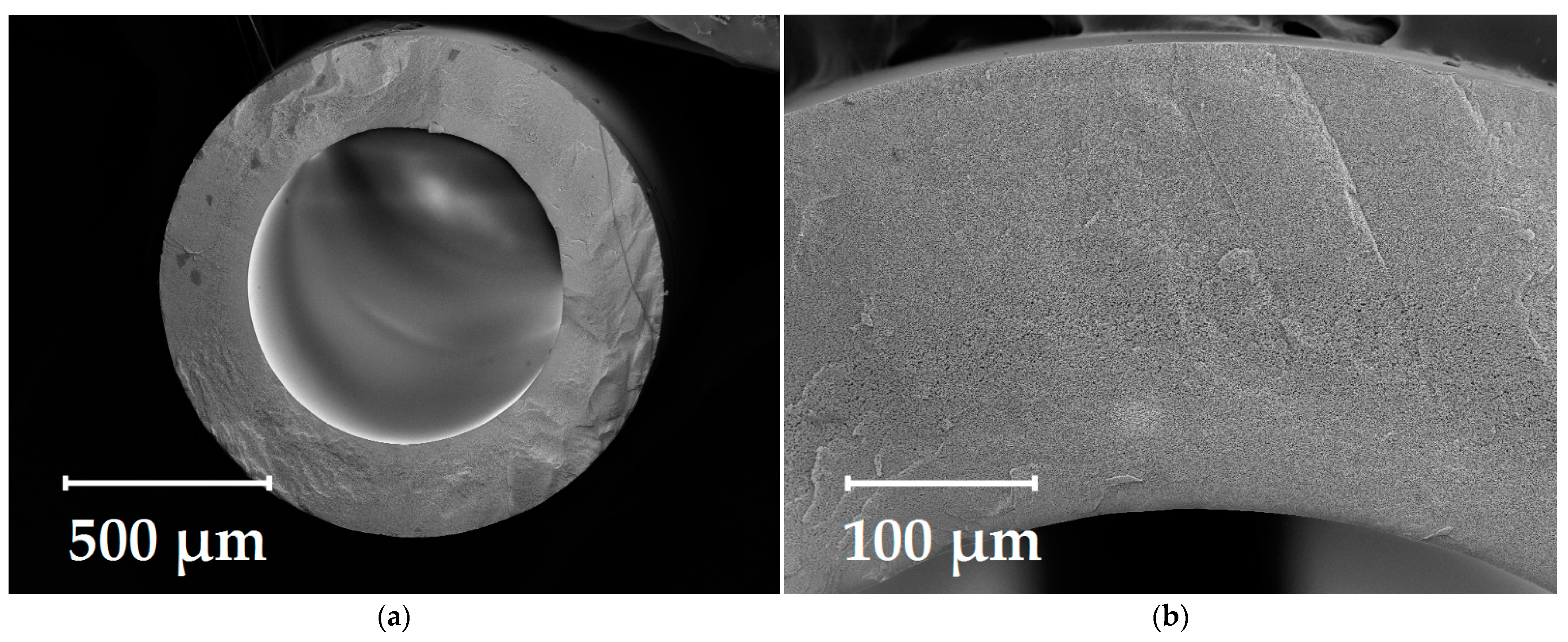 Fibers 10 00029 g001