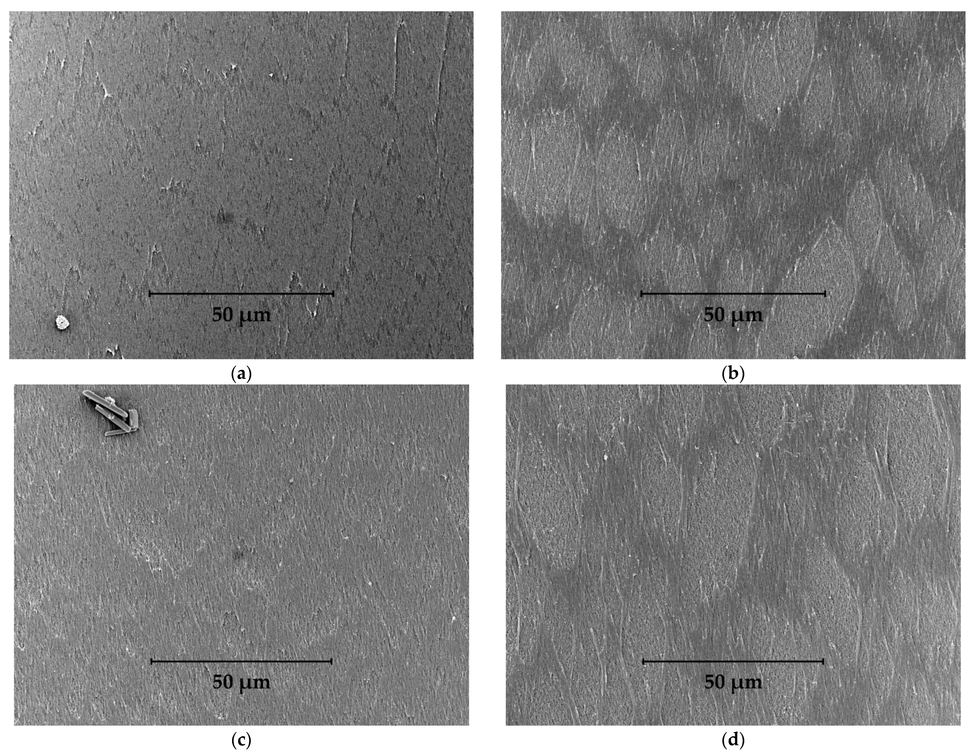 Fibers 10 00029 g003