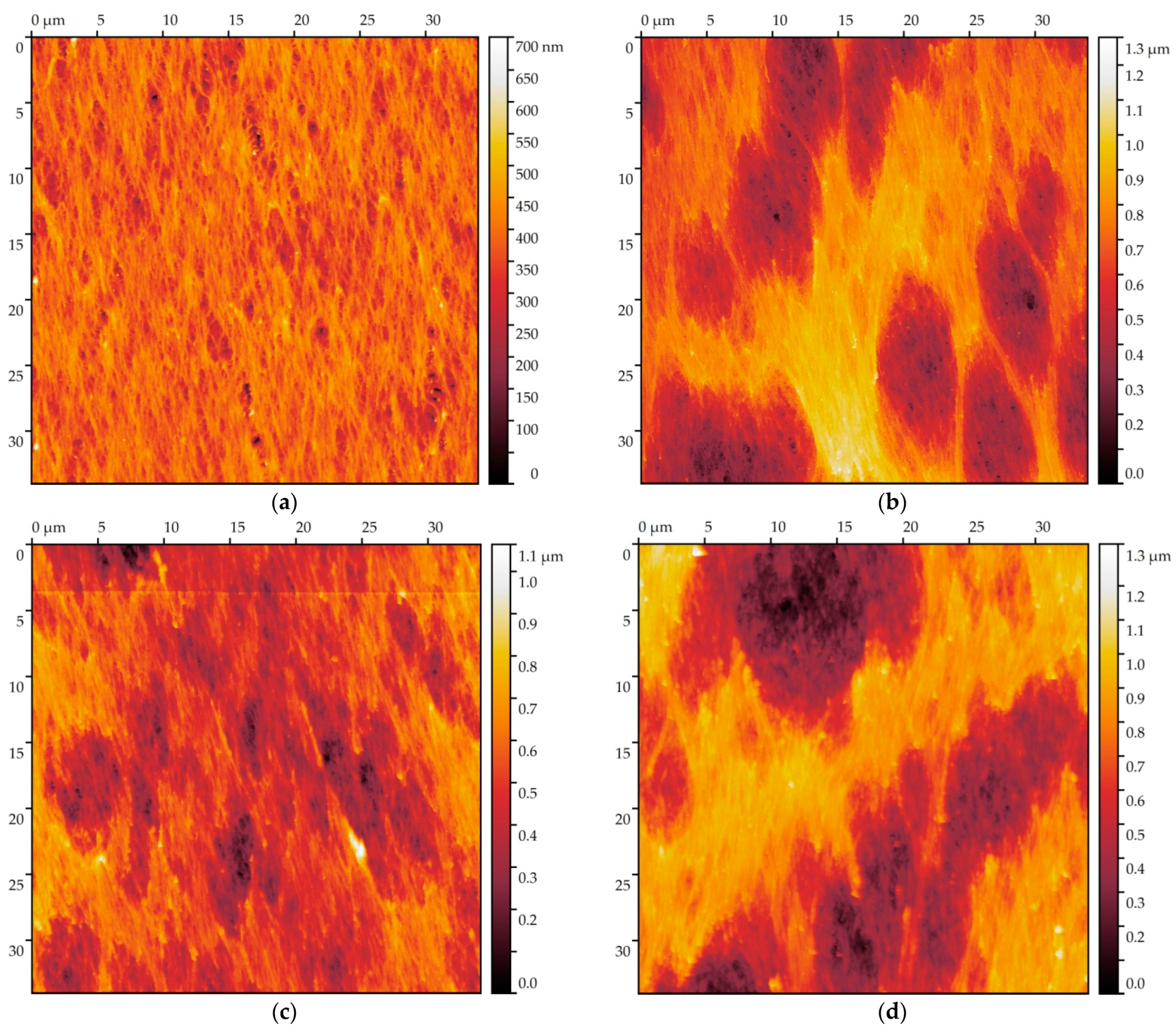 Fibers 10 00029 g004