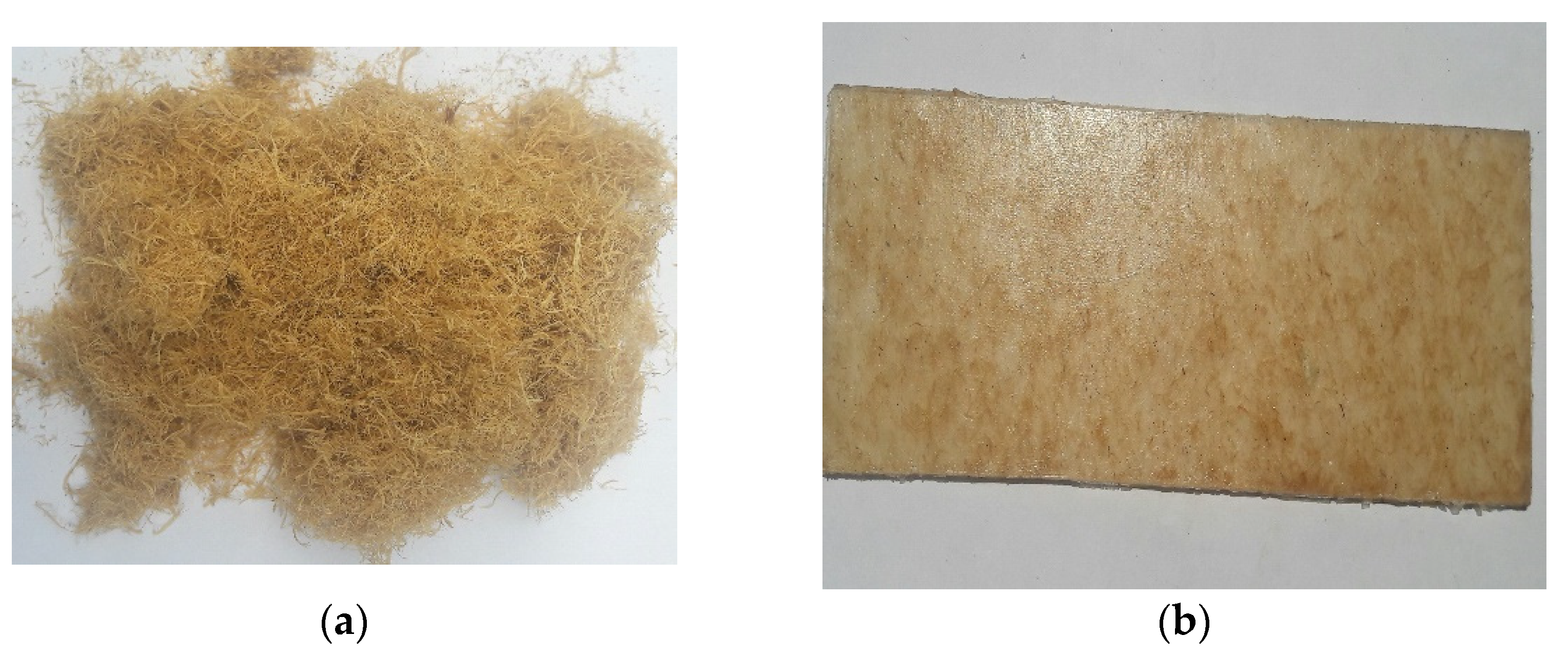 Fibers 10 00030 g001