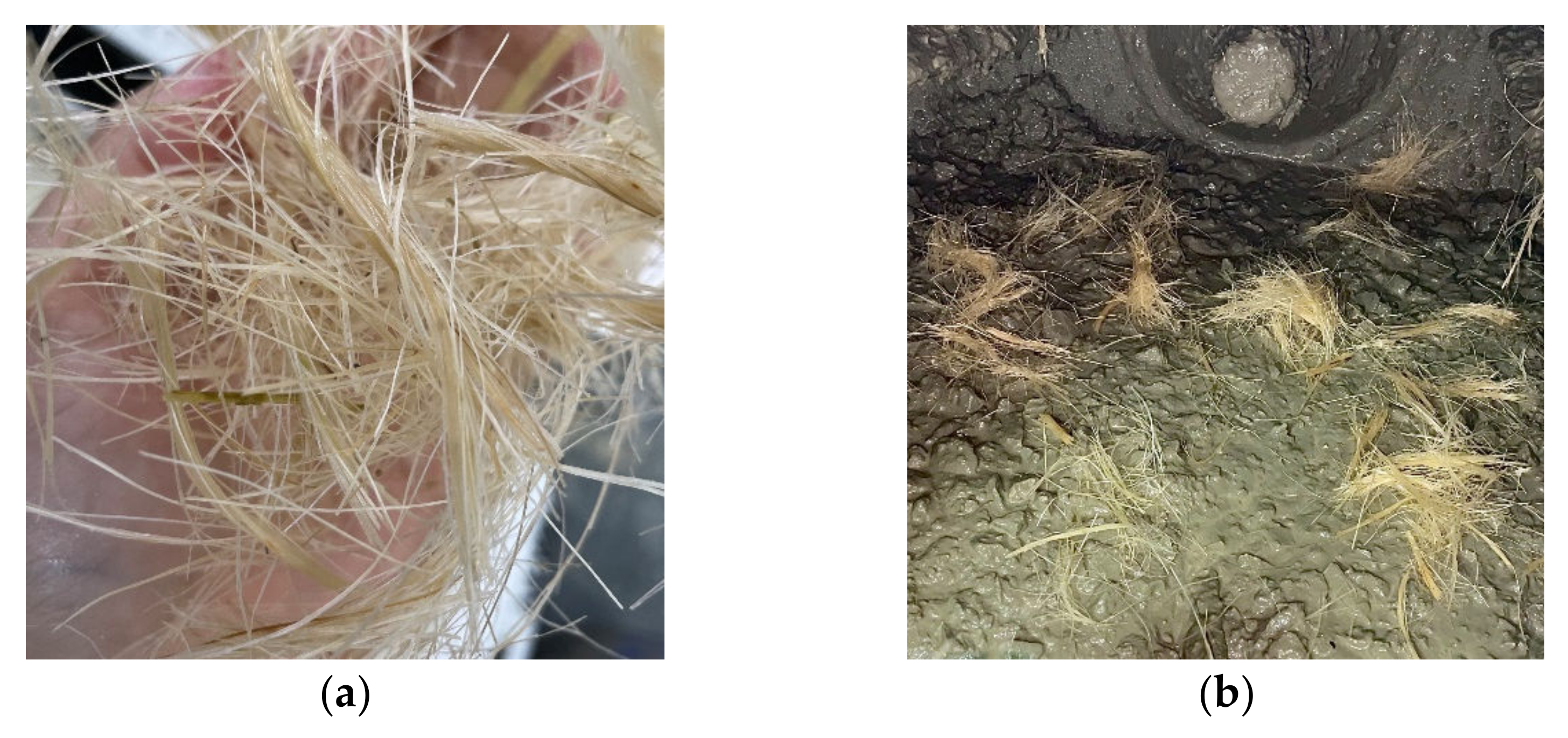 Fibers 10 00031 g001