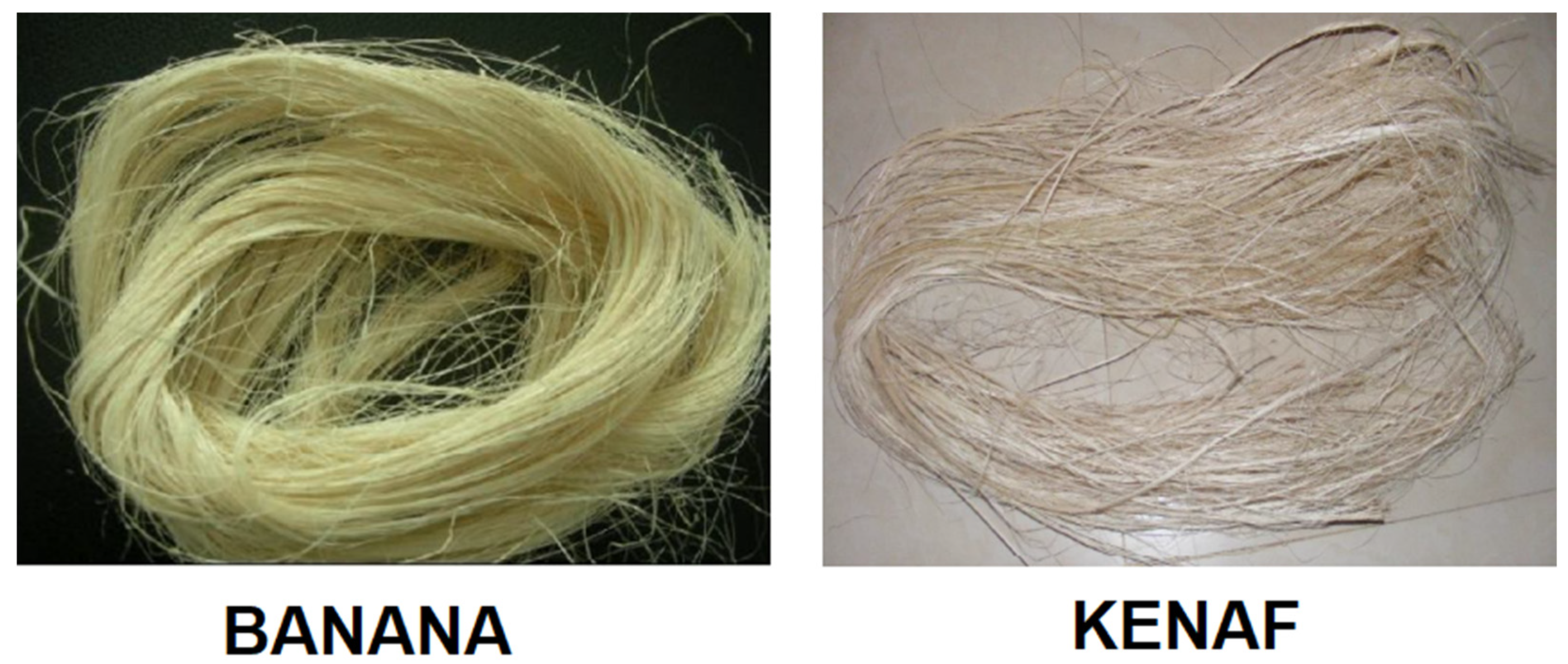 Fibers 10 00032 g001