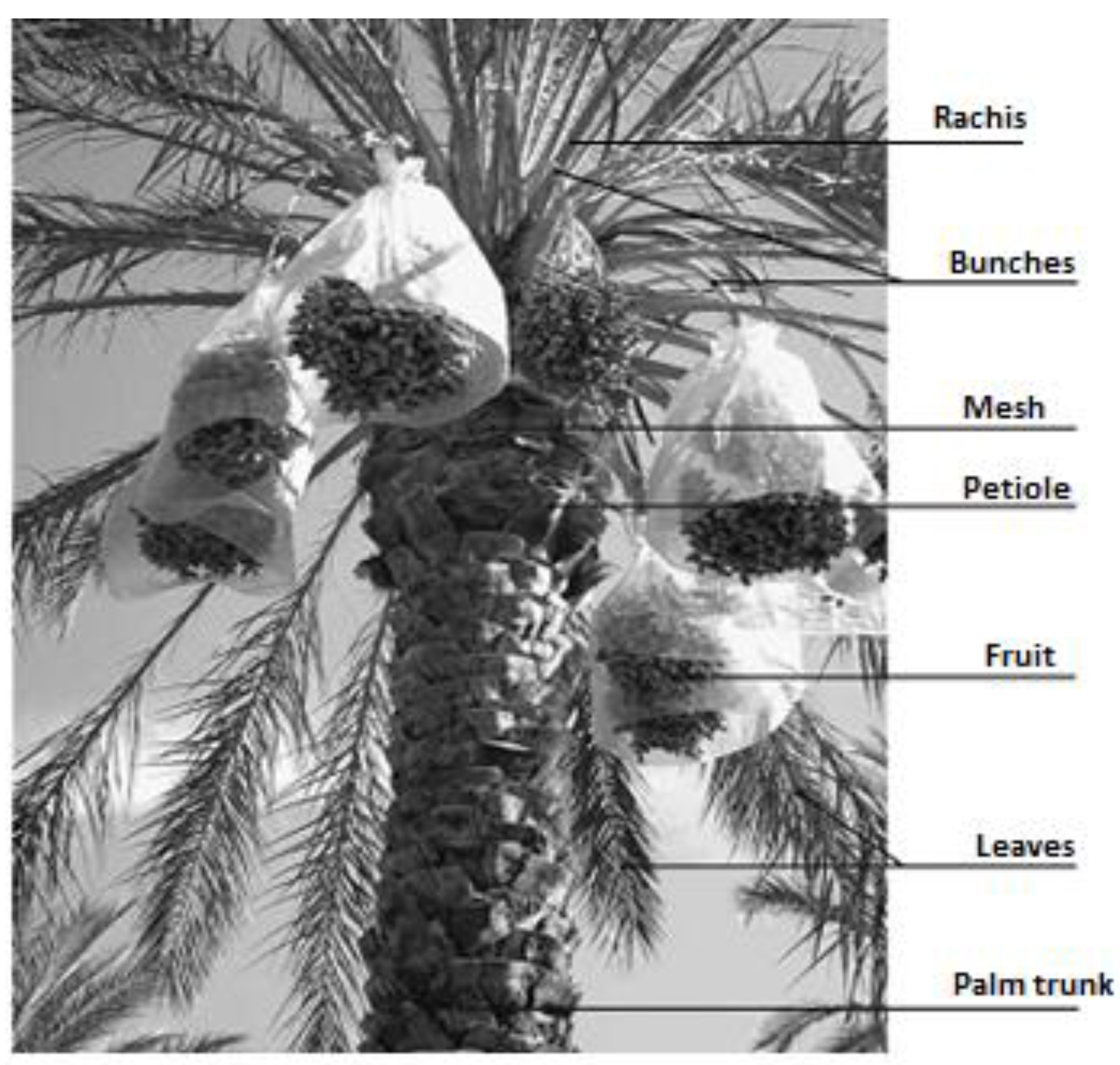 Fibers 10 00035 g001