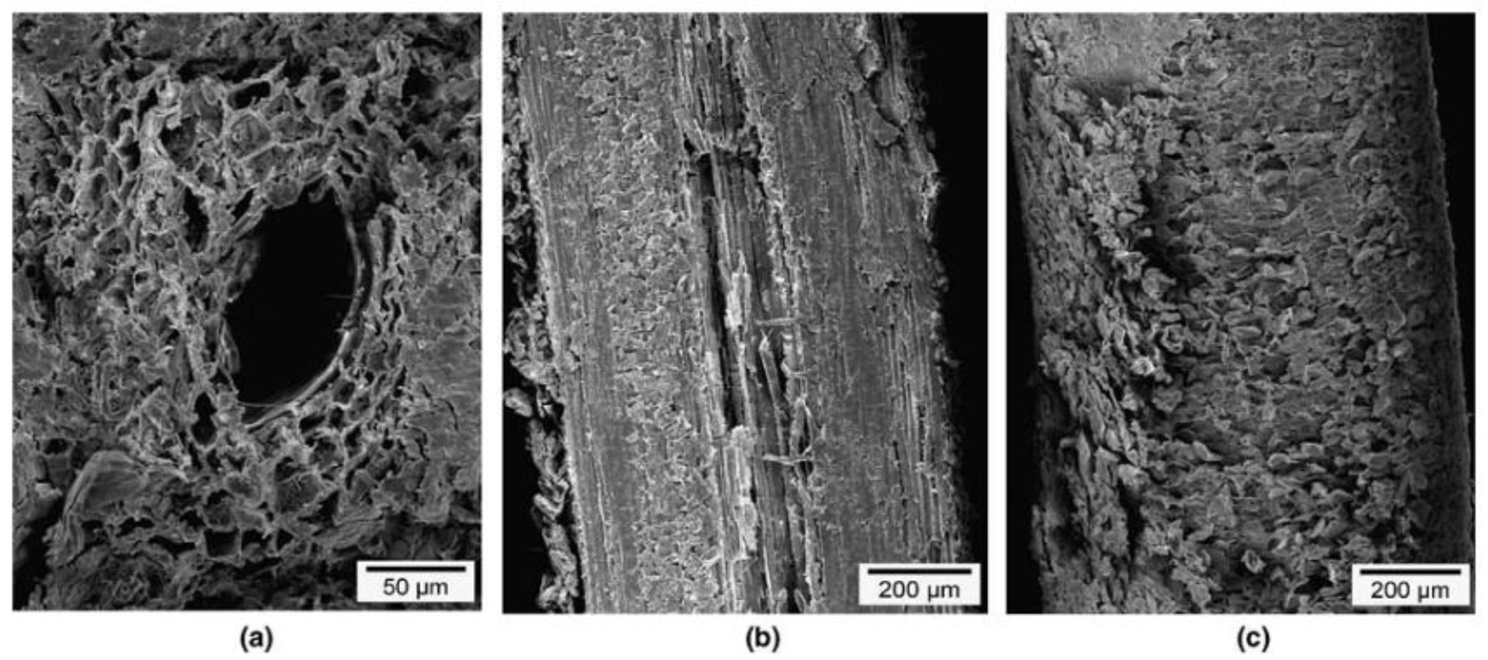 Fibers 10 00035 g002