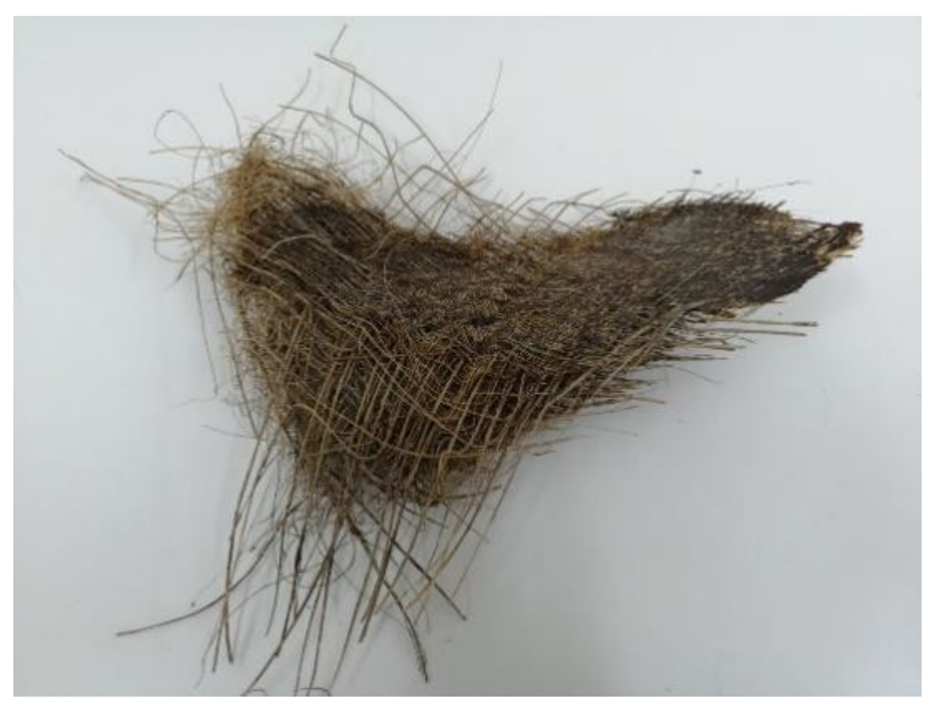 Fibers 10 00035 g003