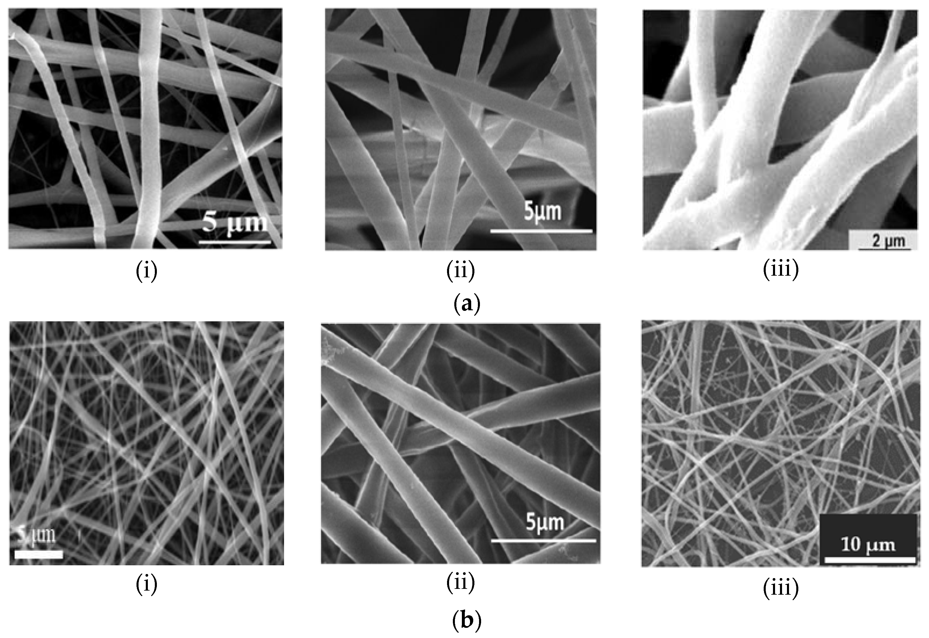 Fibers 10 00036 g001