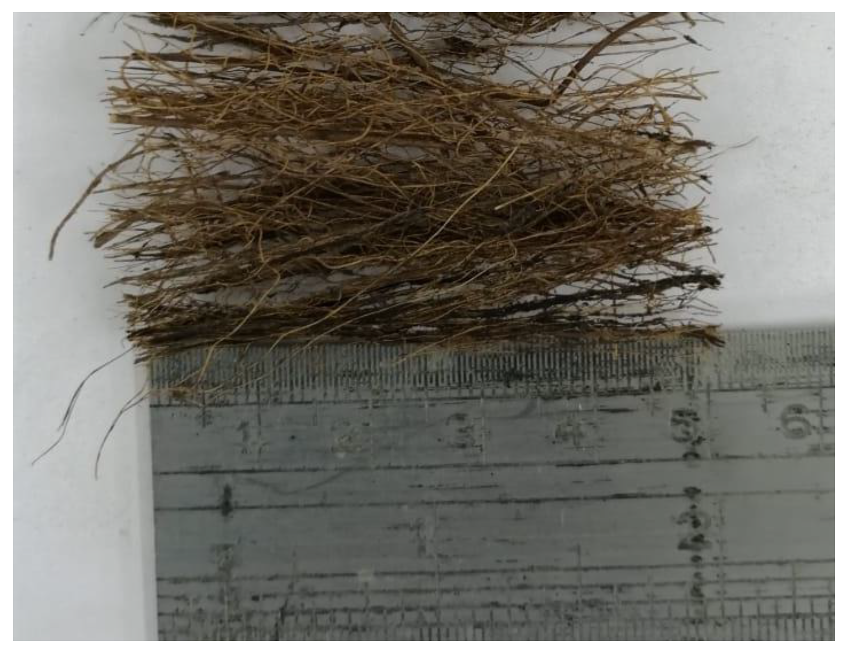 Fibers 10 00041 g002