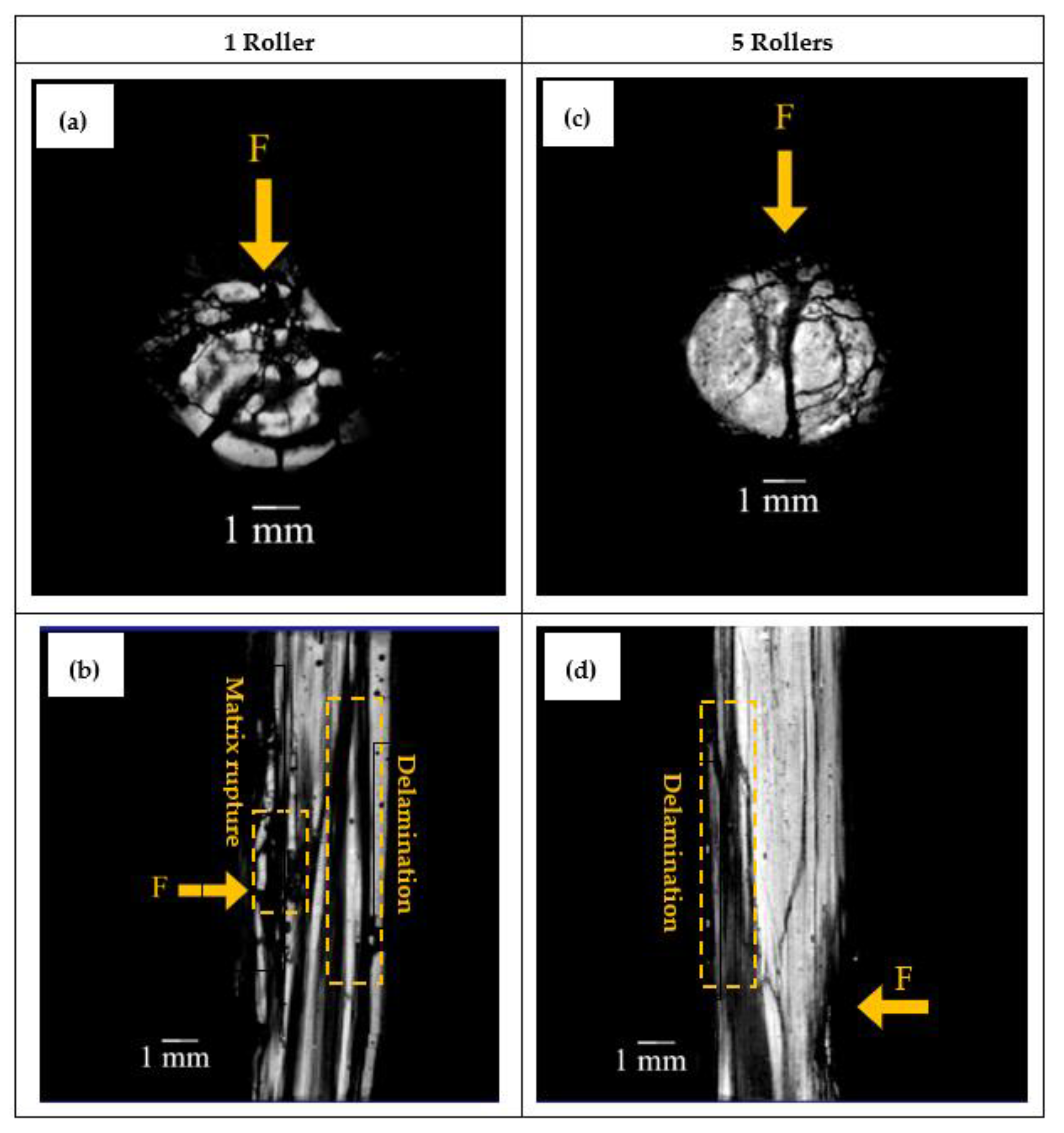 Fibers 10 00042 g008