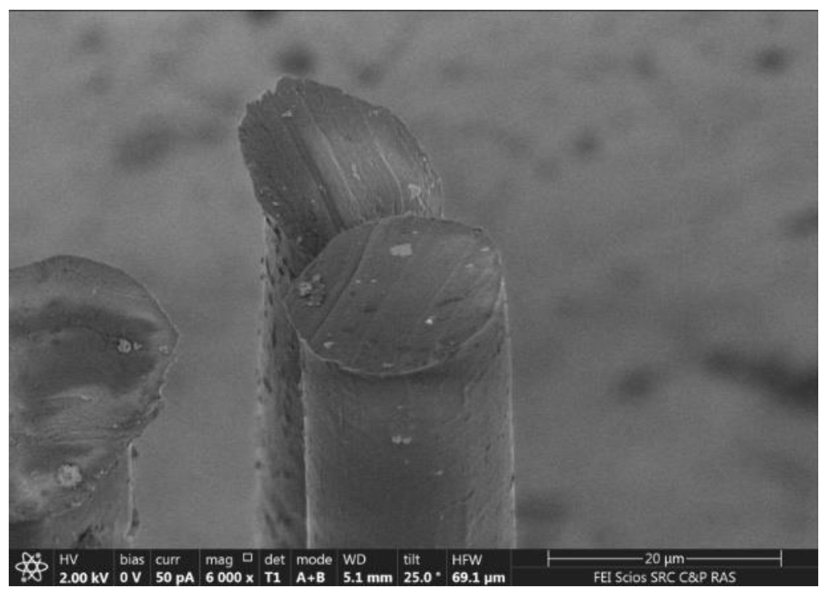 Fibers 10 00045 g012