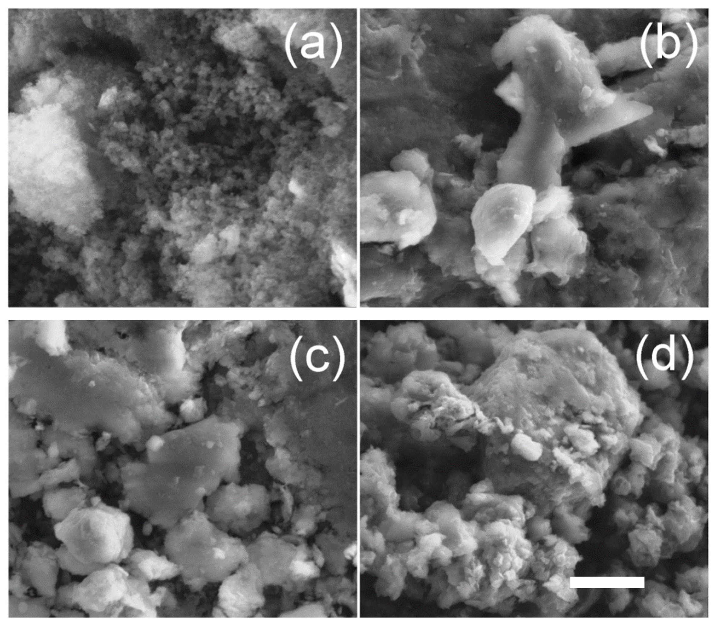 Fibers 10 00046 g006