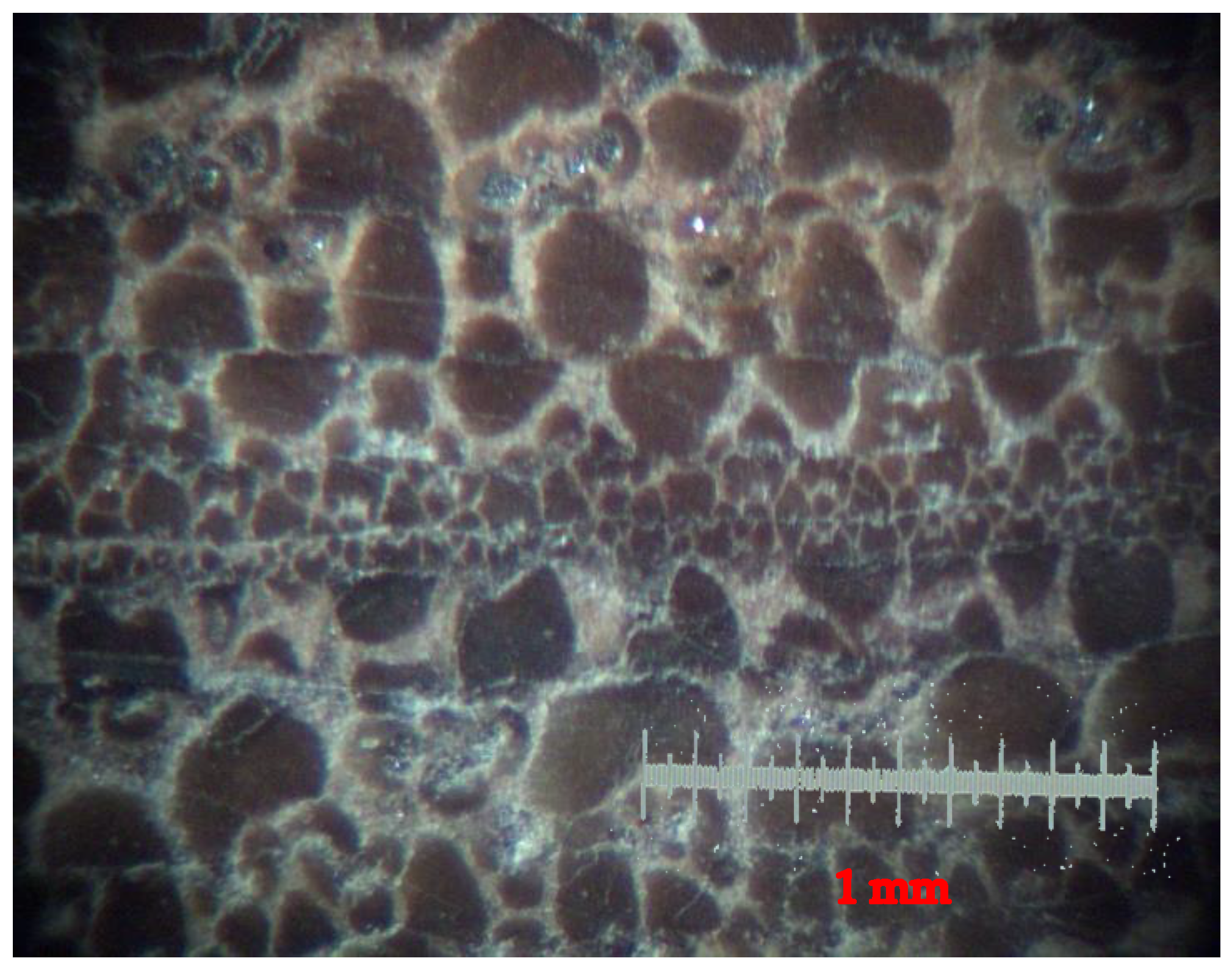 Fibers 10 00059 g003