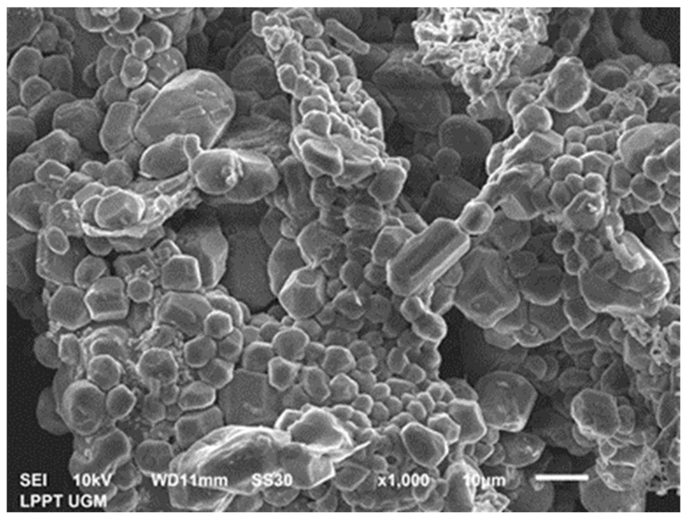 Fibers 10 00061 g003