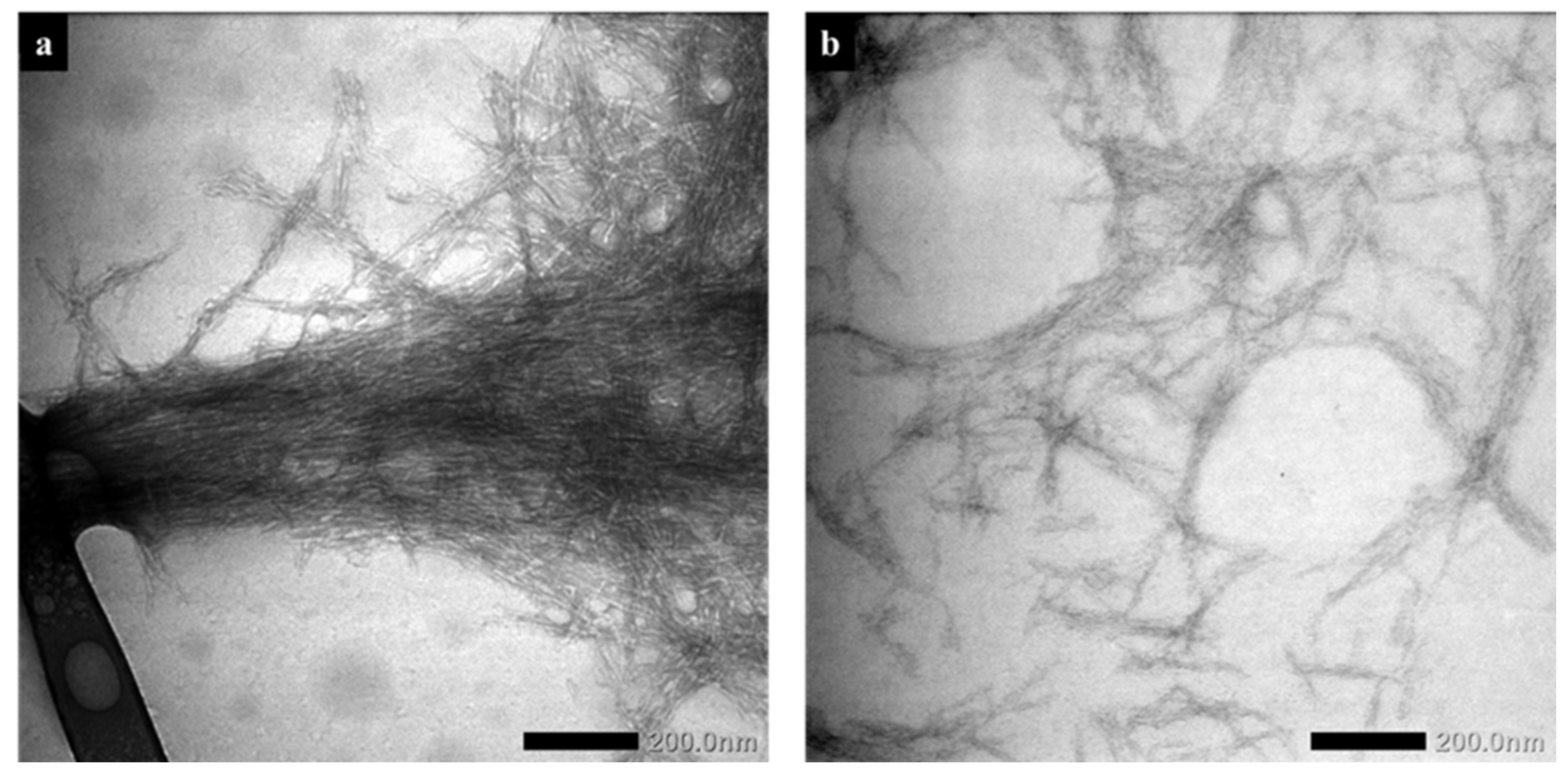 Fibers 10 00061 g005