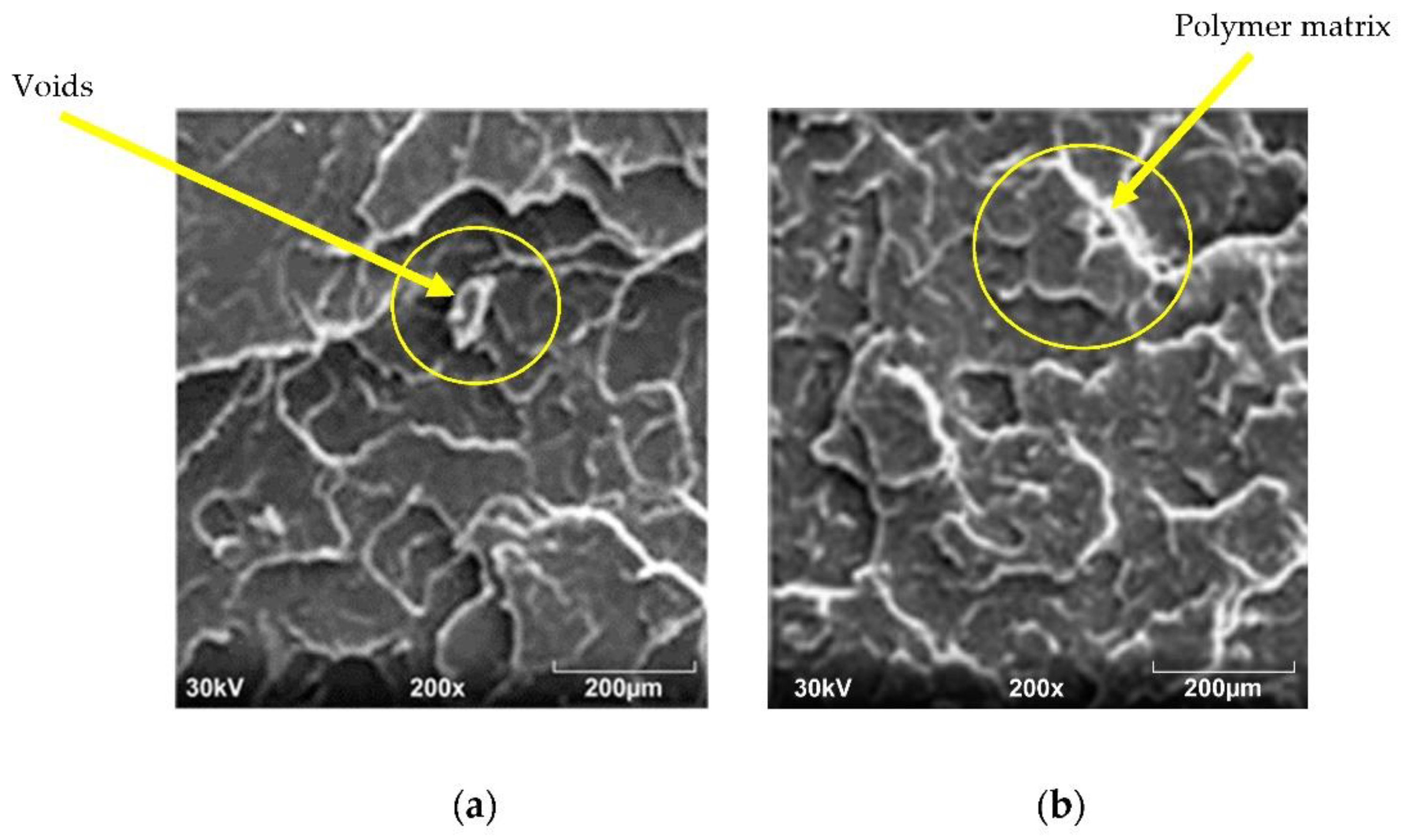 Fibers 10 00062 g007