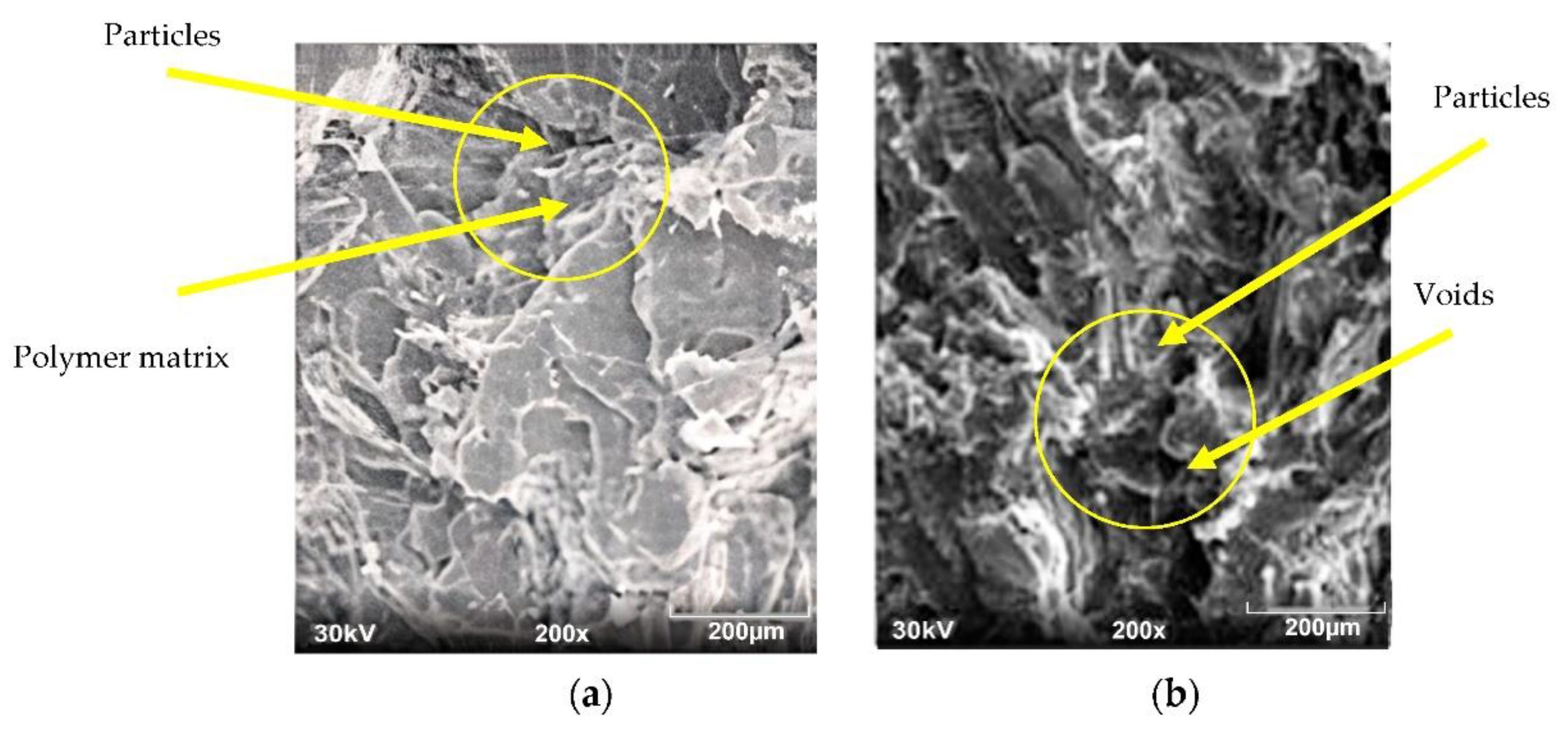 Fibers 10 00062 g008