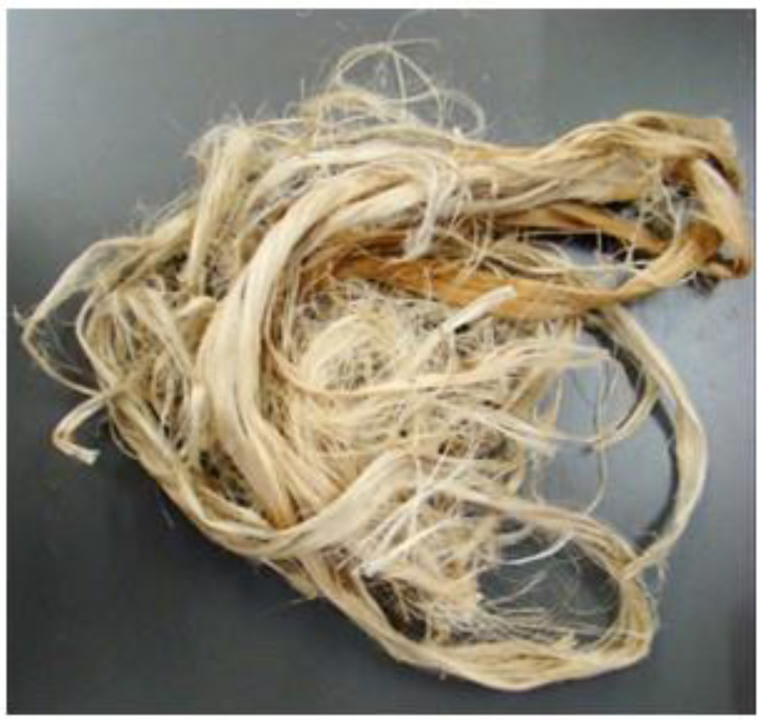 Fibers 10 00063 g001