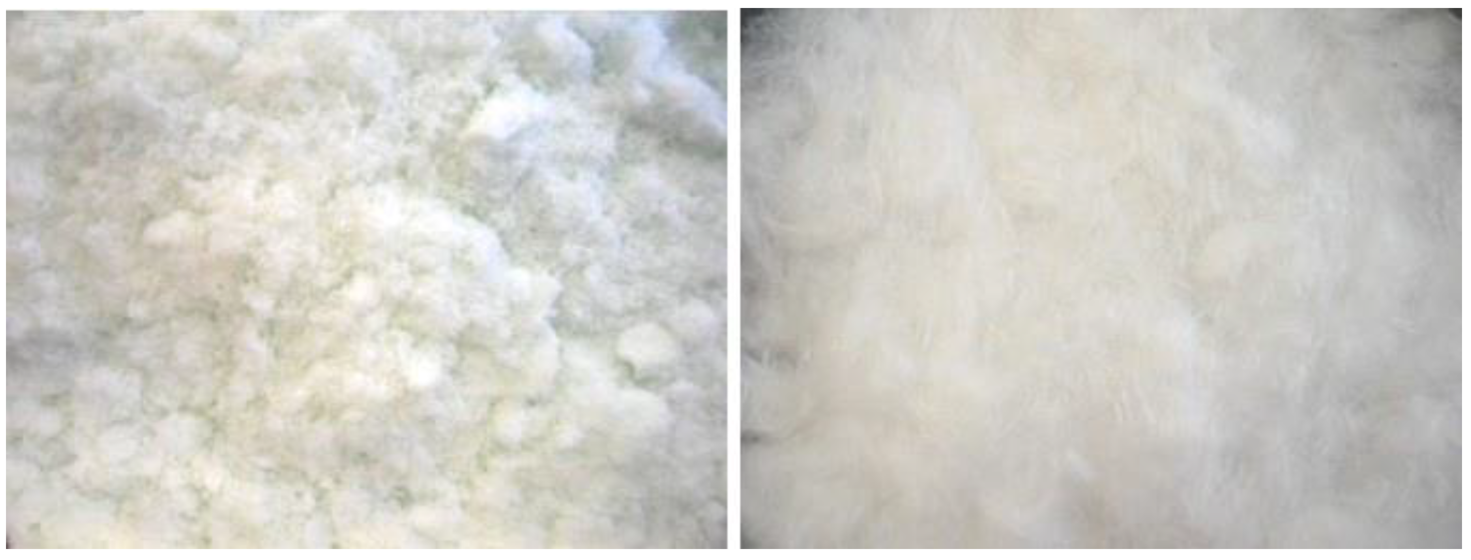 Fibers 10 00063 g003