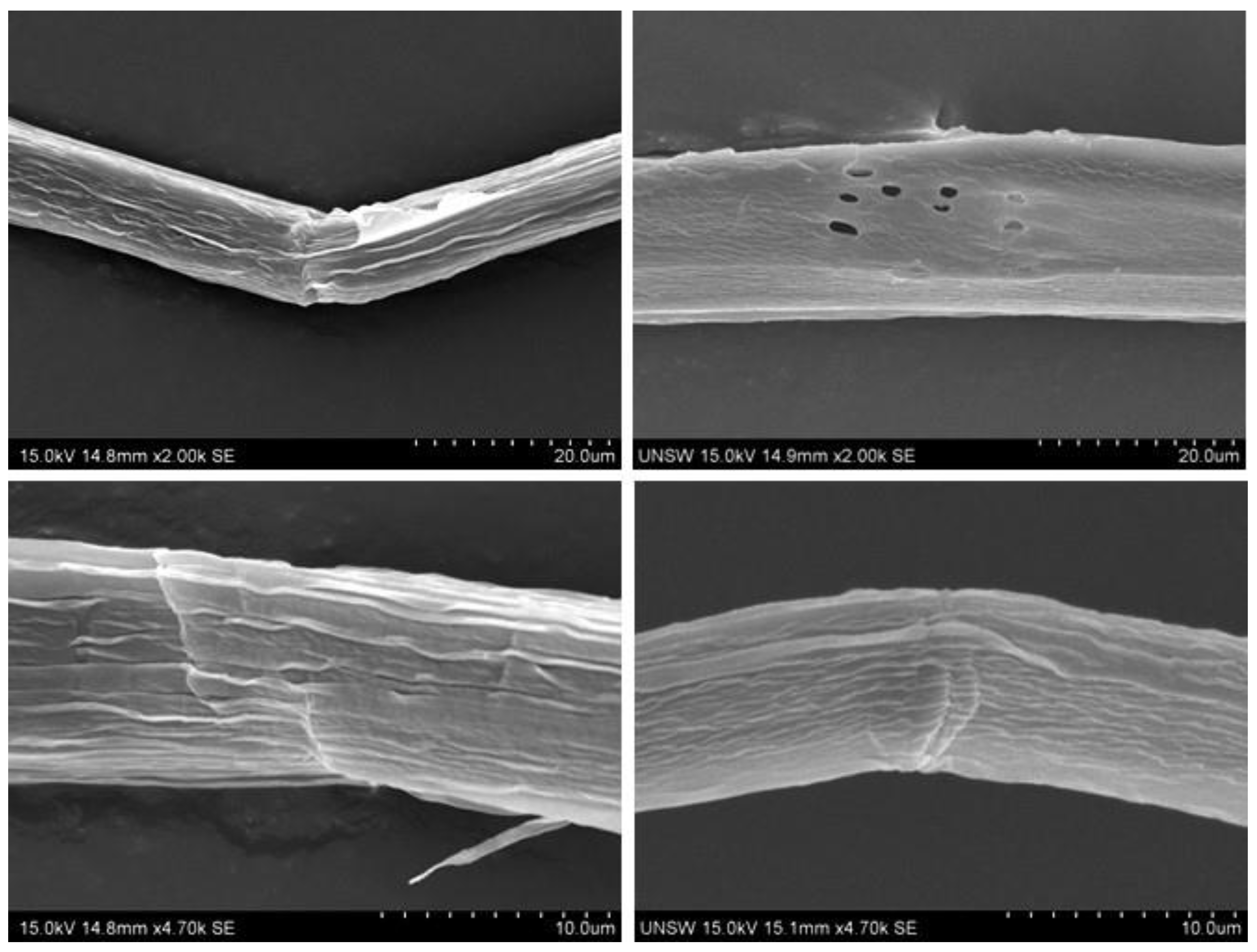 Fibers 10 00063 g008