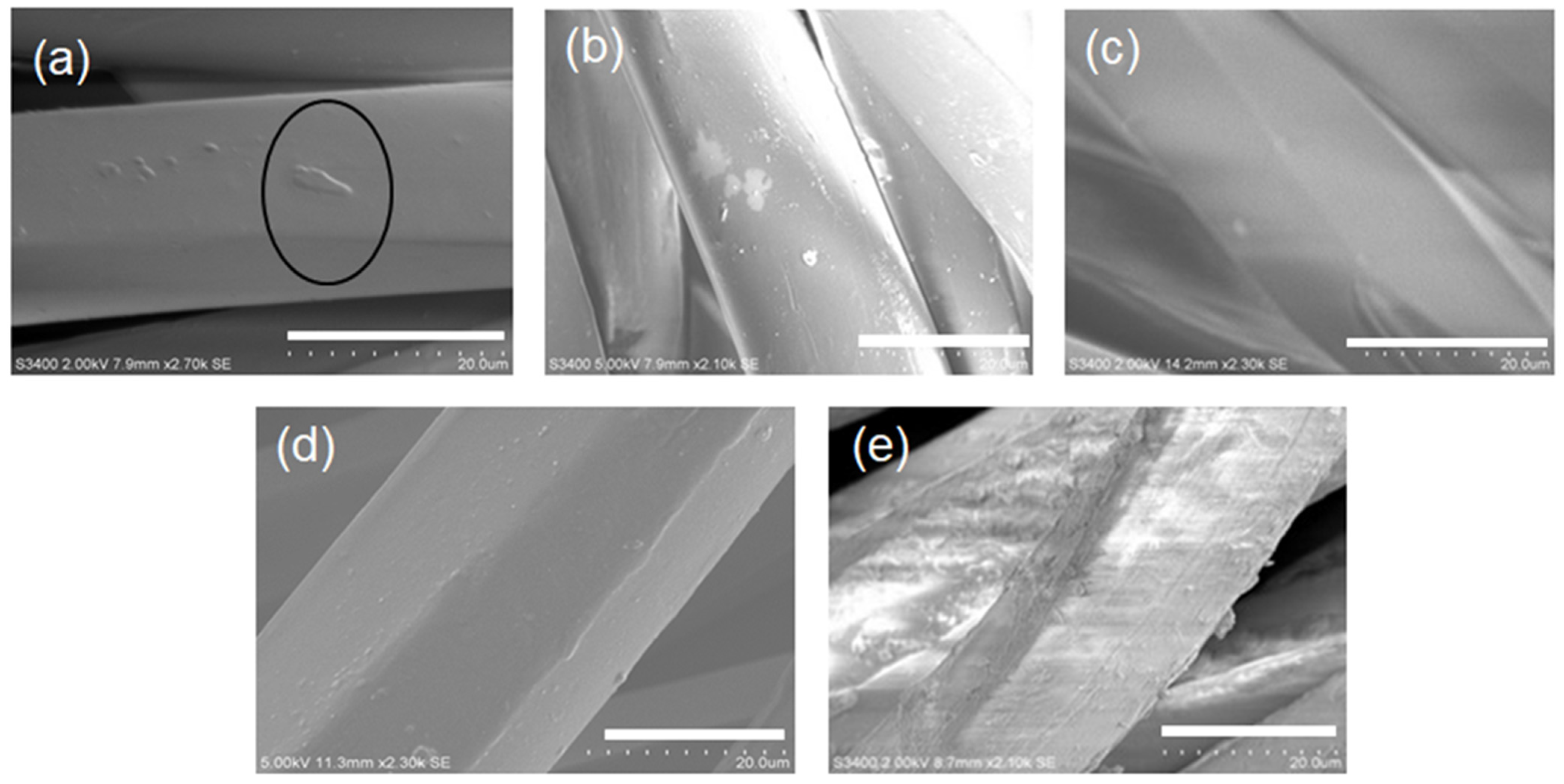 Fibers 10 00066 g002