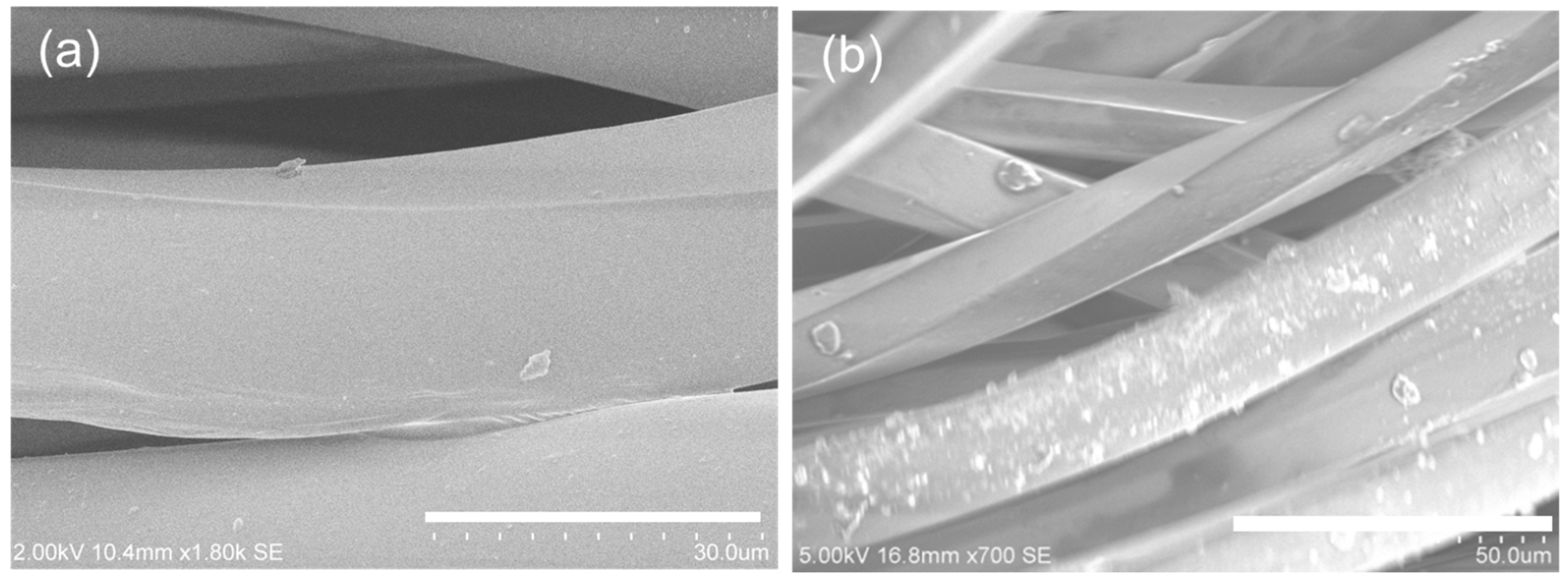 Fibers 10 00066 g003