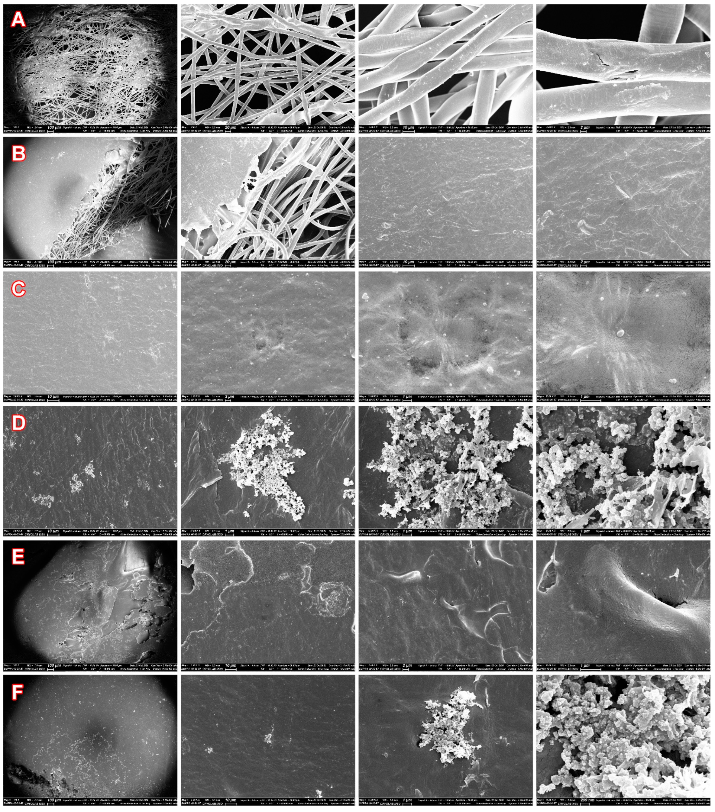 Fibers 10 00070 g001