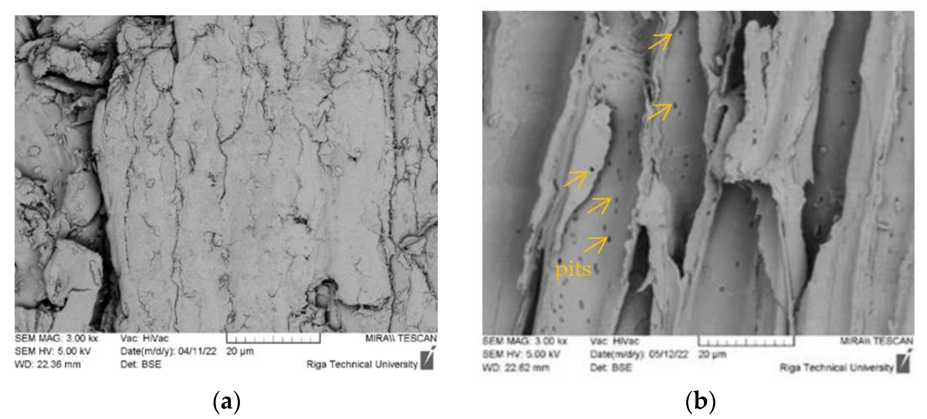 Fibers 10 00083 g006a
