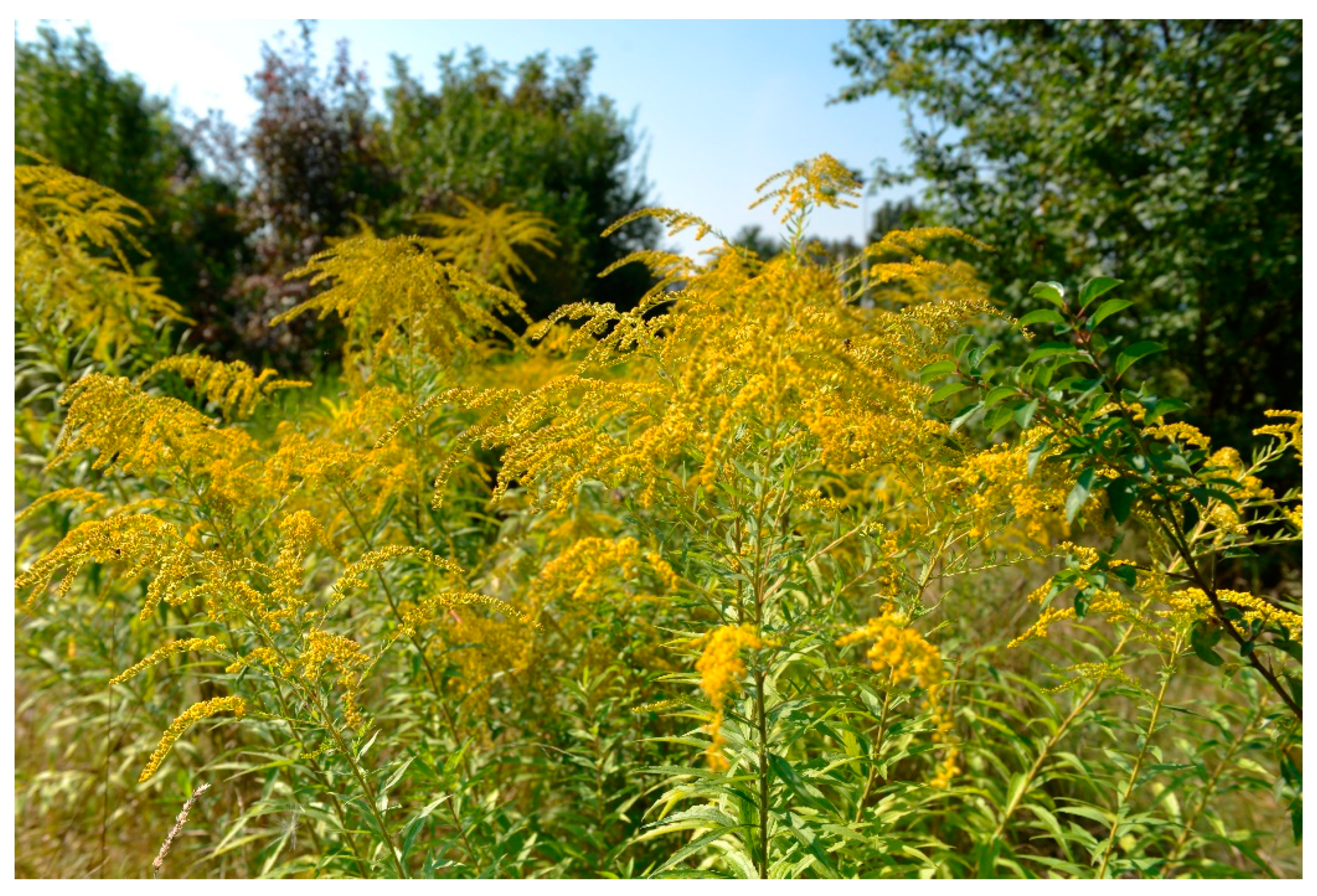 Fibers 10 00094 g002 Fibers 10 00094 g002