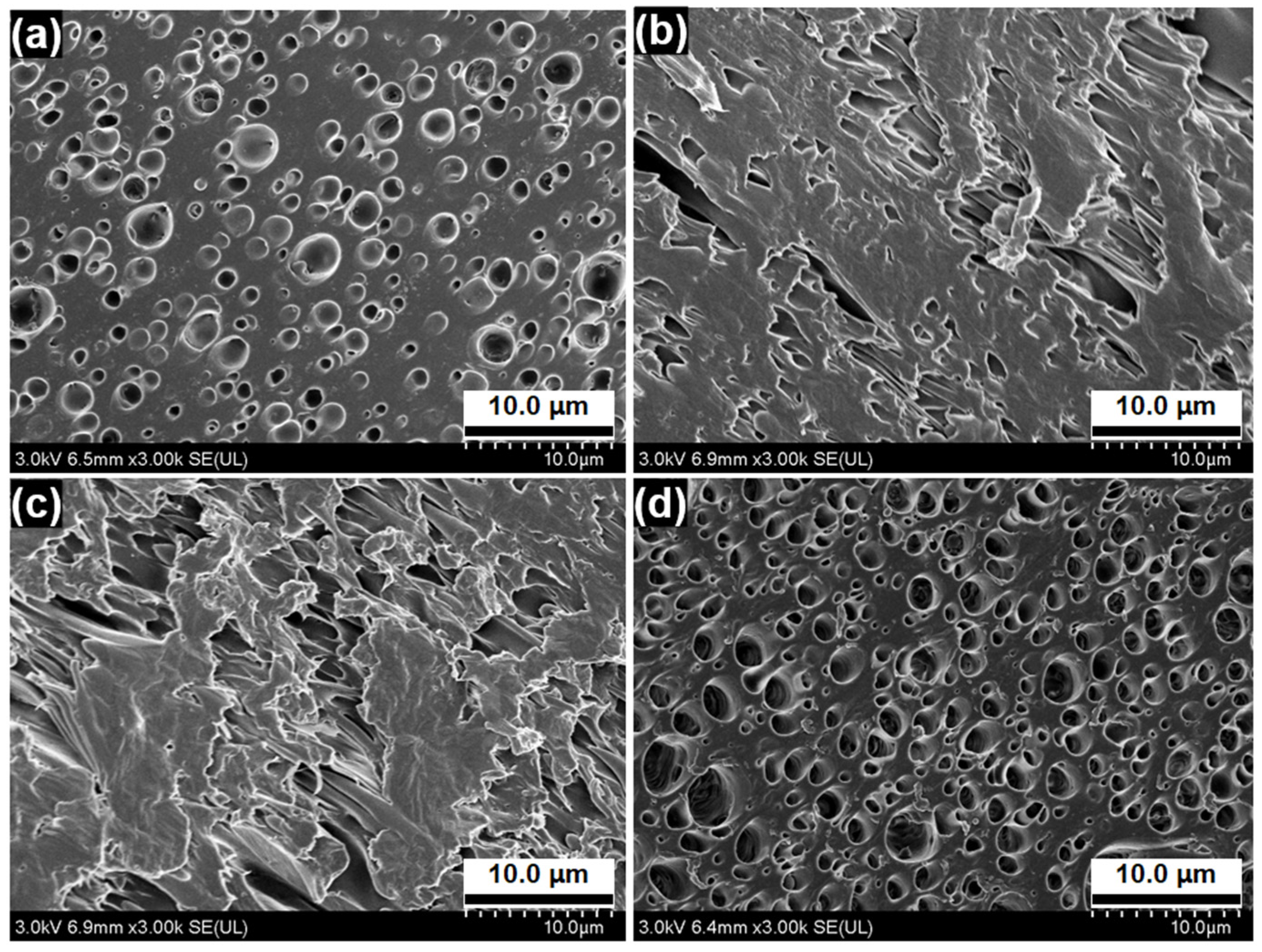 Fibers 10 00095 g005 Fibers 10 00095 g005