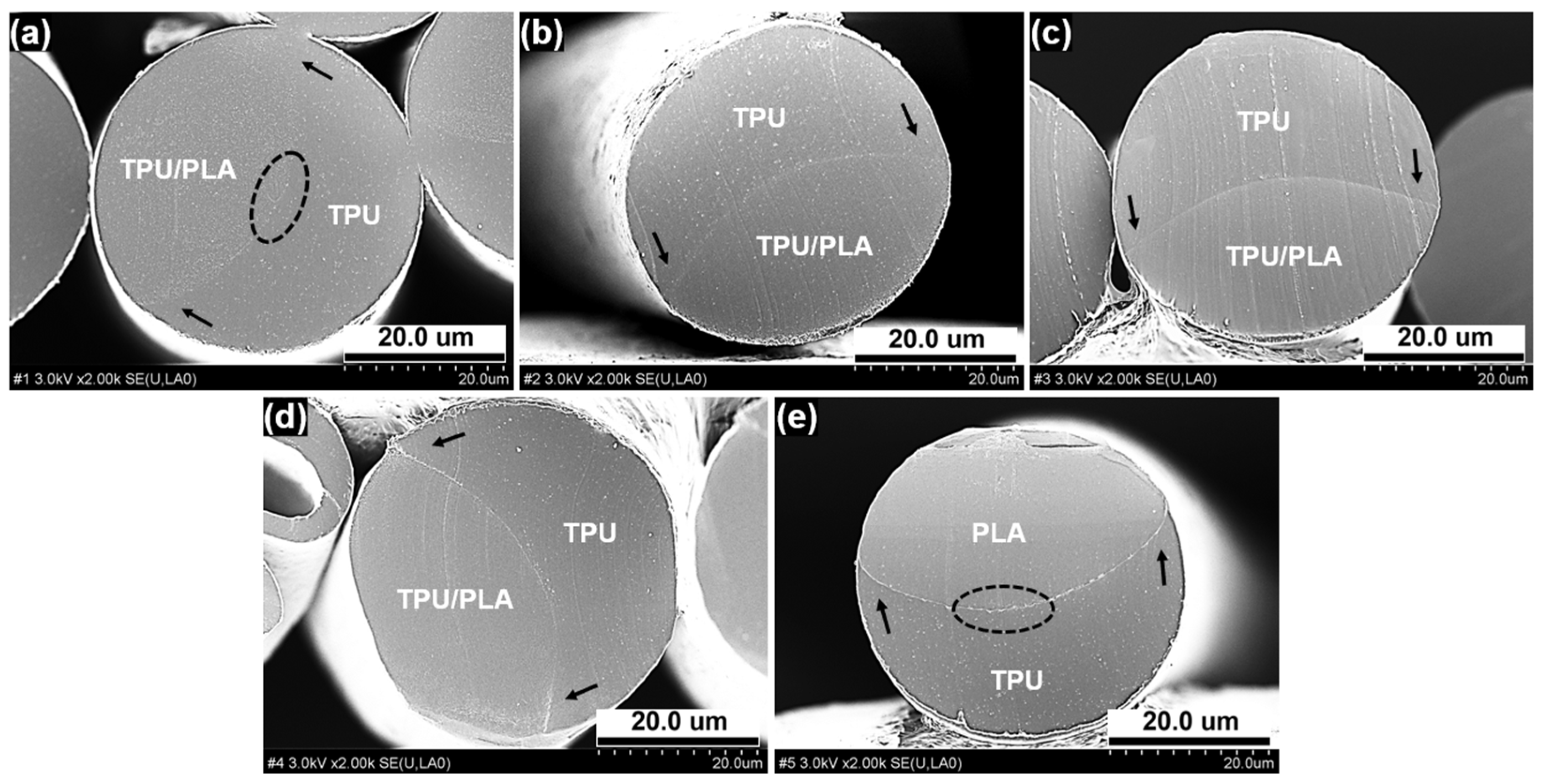 Fibers 10 00095 g007 Fibers 10 00095 g007