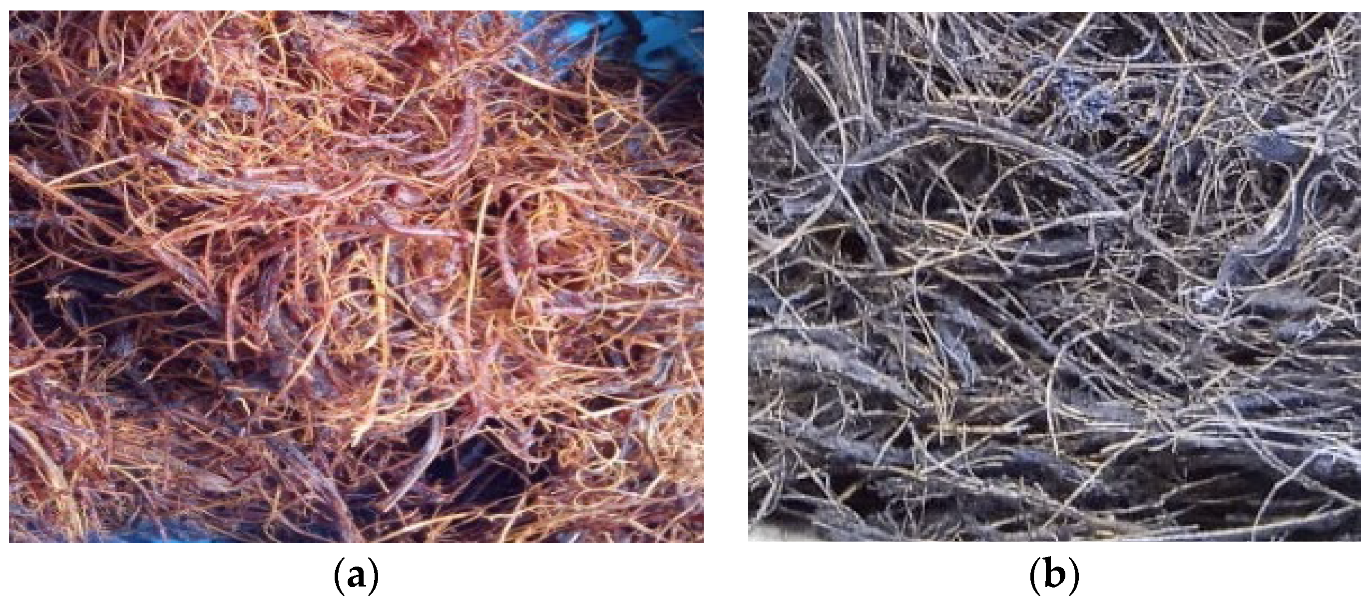 Fibers 10 00096 g001