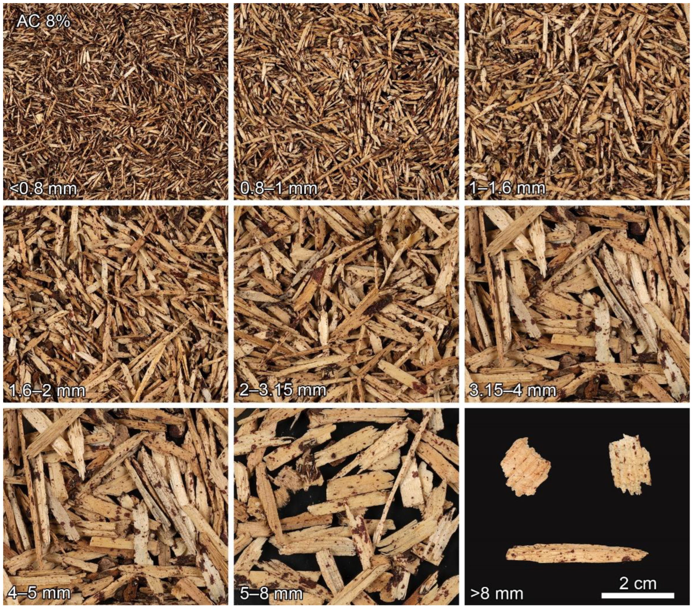 Fibers 10 00097 g002