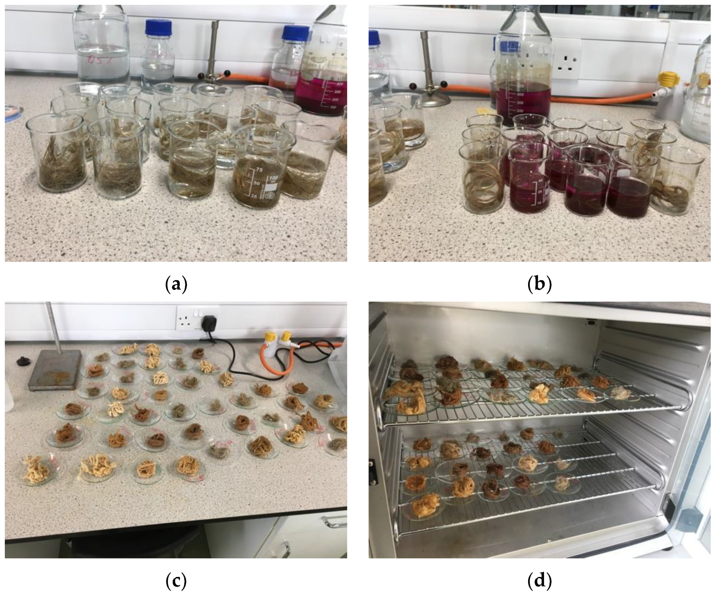 Fibers 10 00101 g003
