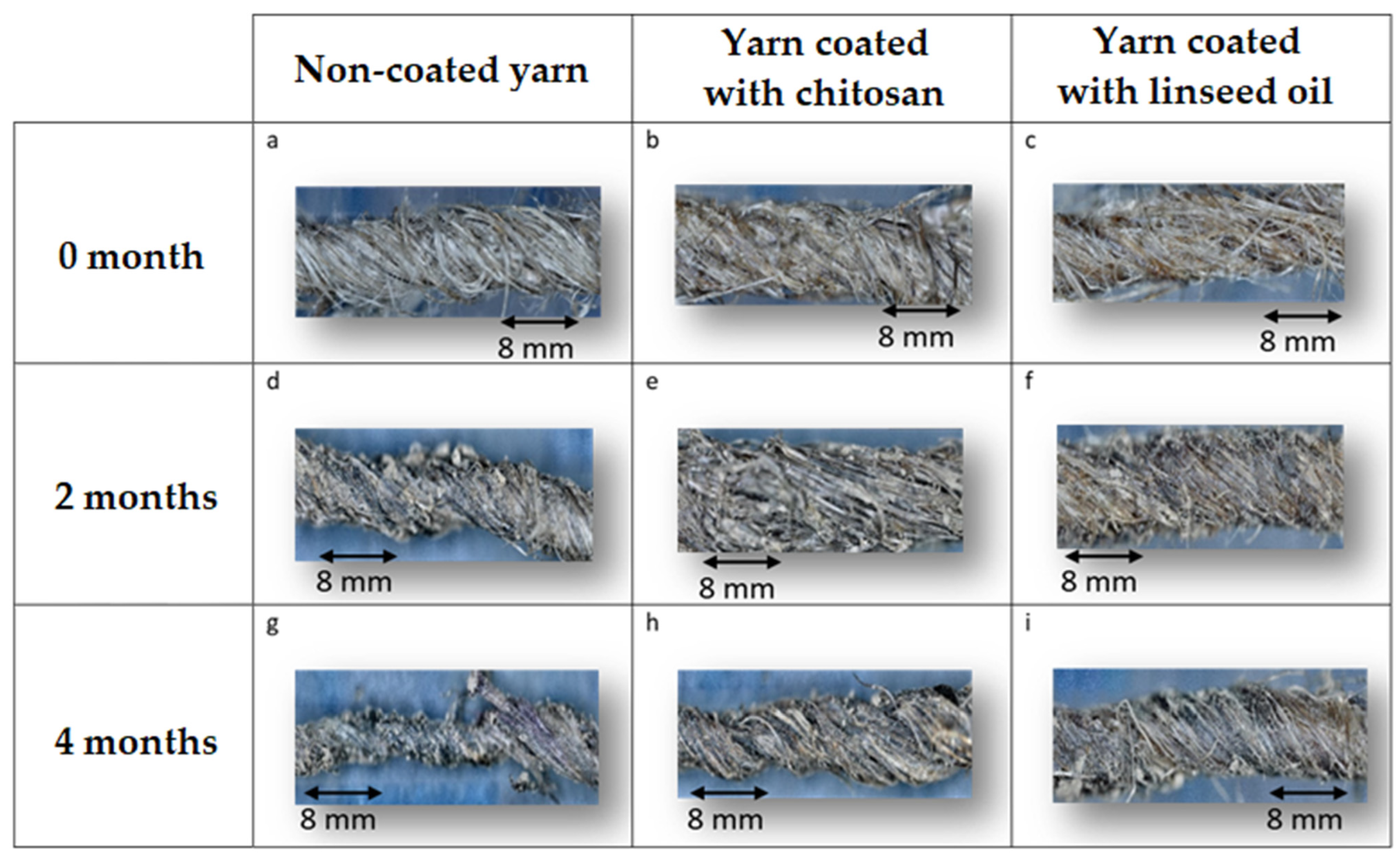 Fibers 10 00102 g006
