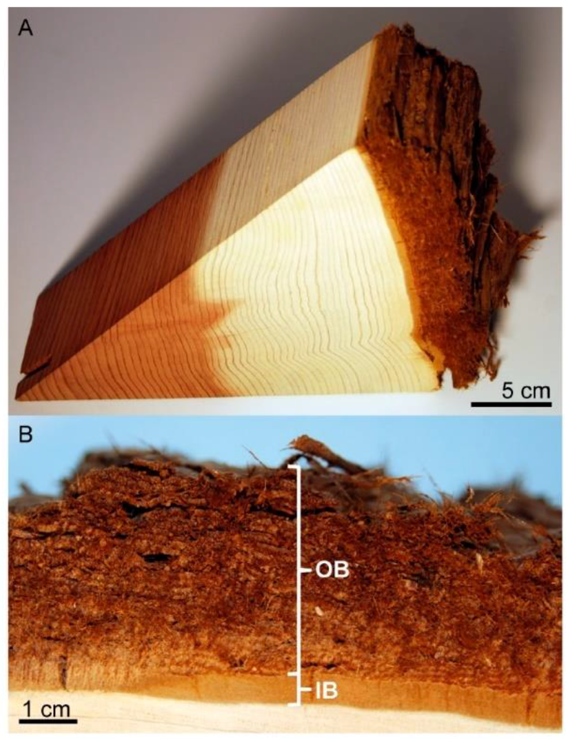 Fibers 11 00013 g003